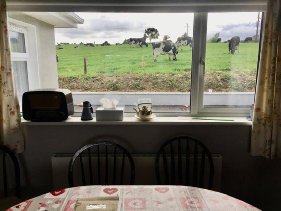 Farmer's Cottage view 2
