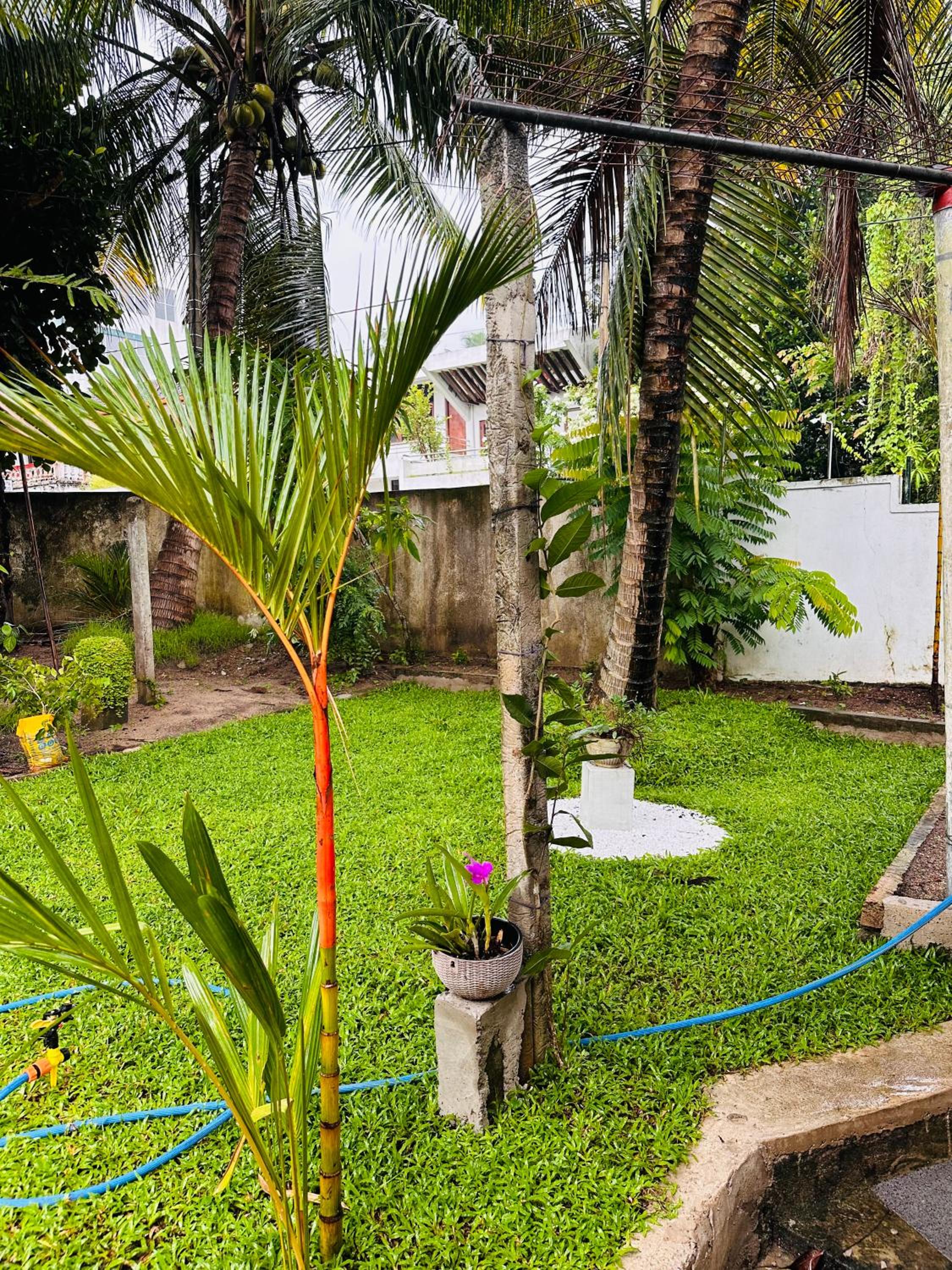 Gert's Aerovista villa view 3