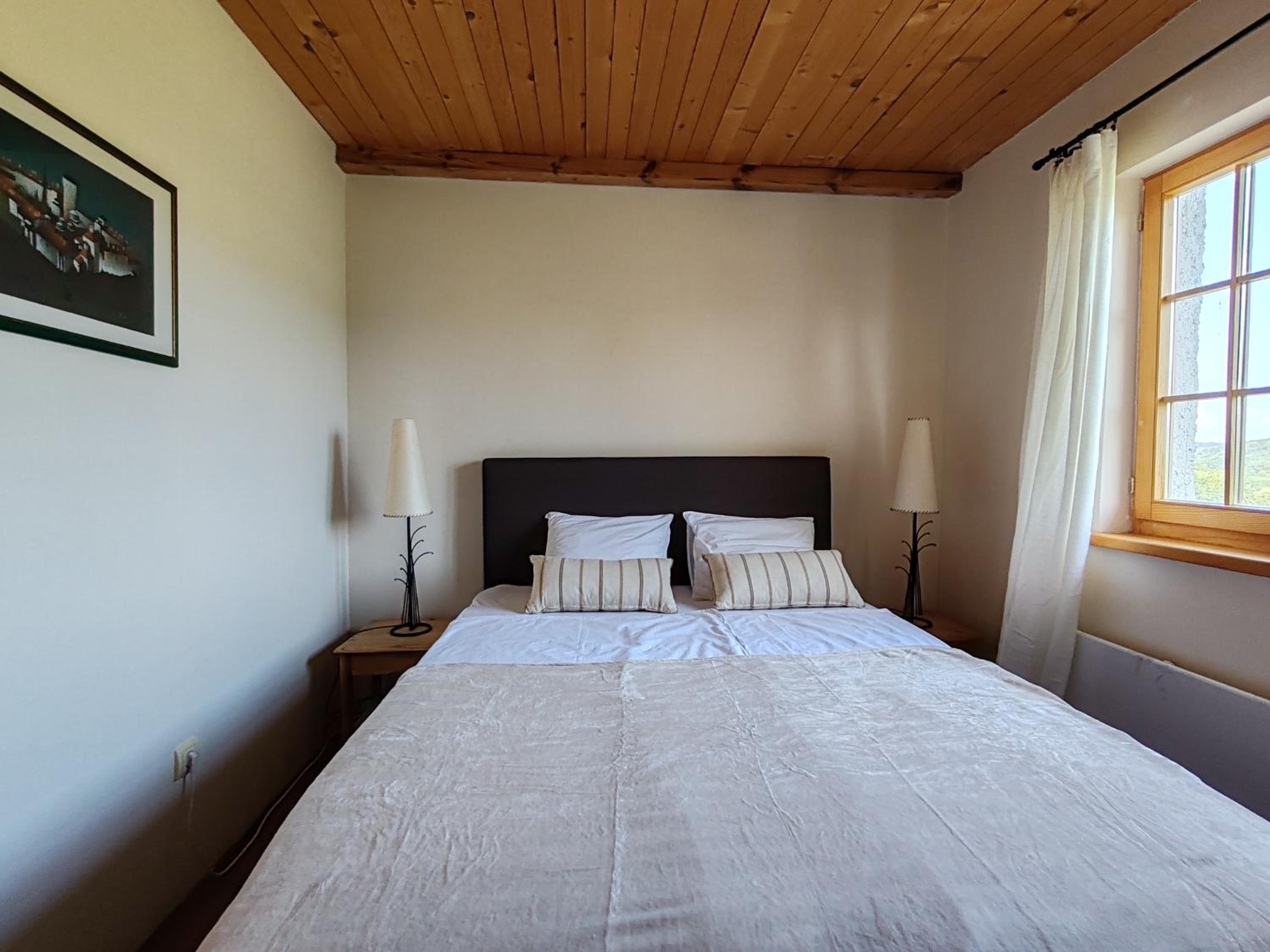Apartmani Vinogradi view 3