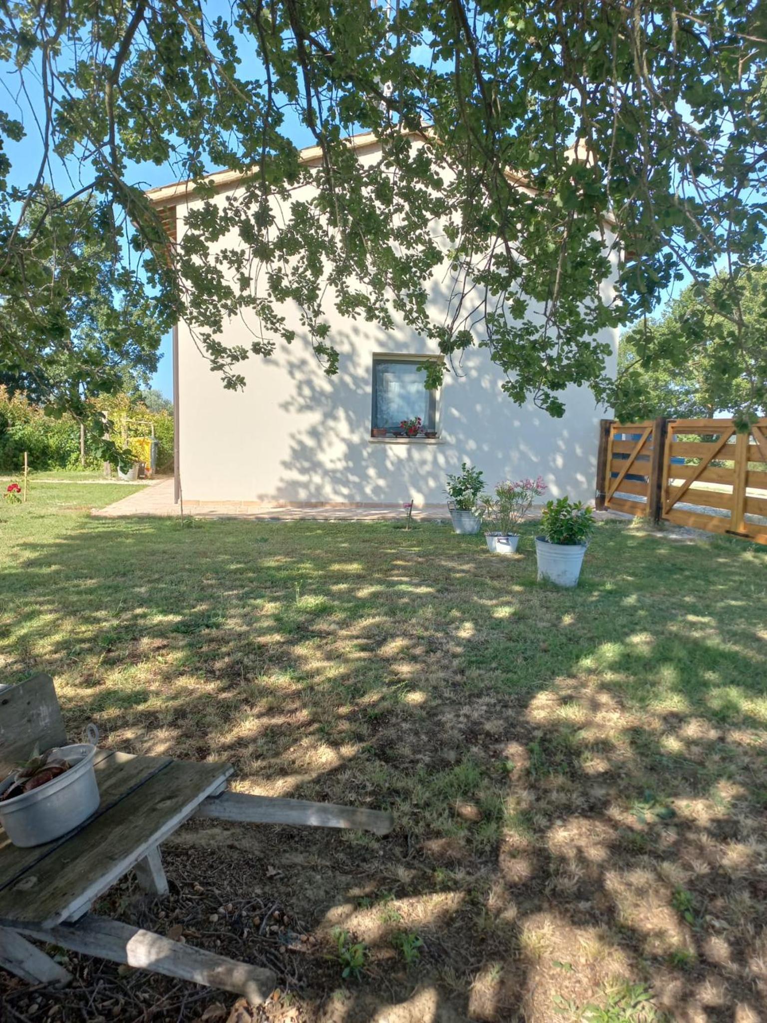 Photo 20