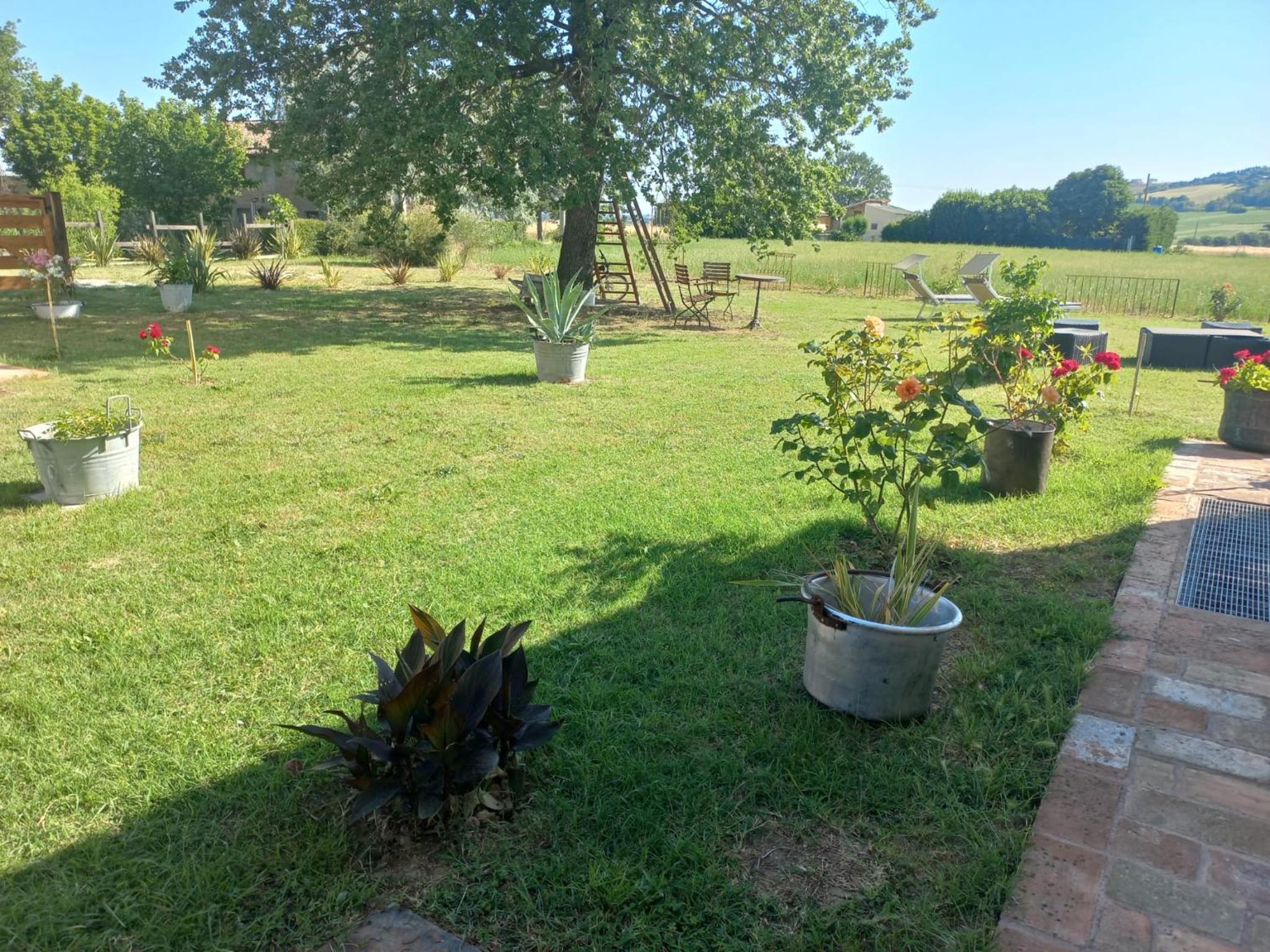 Photo 47