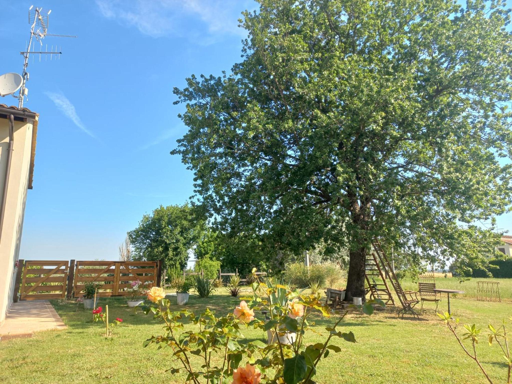 Photo 22
