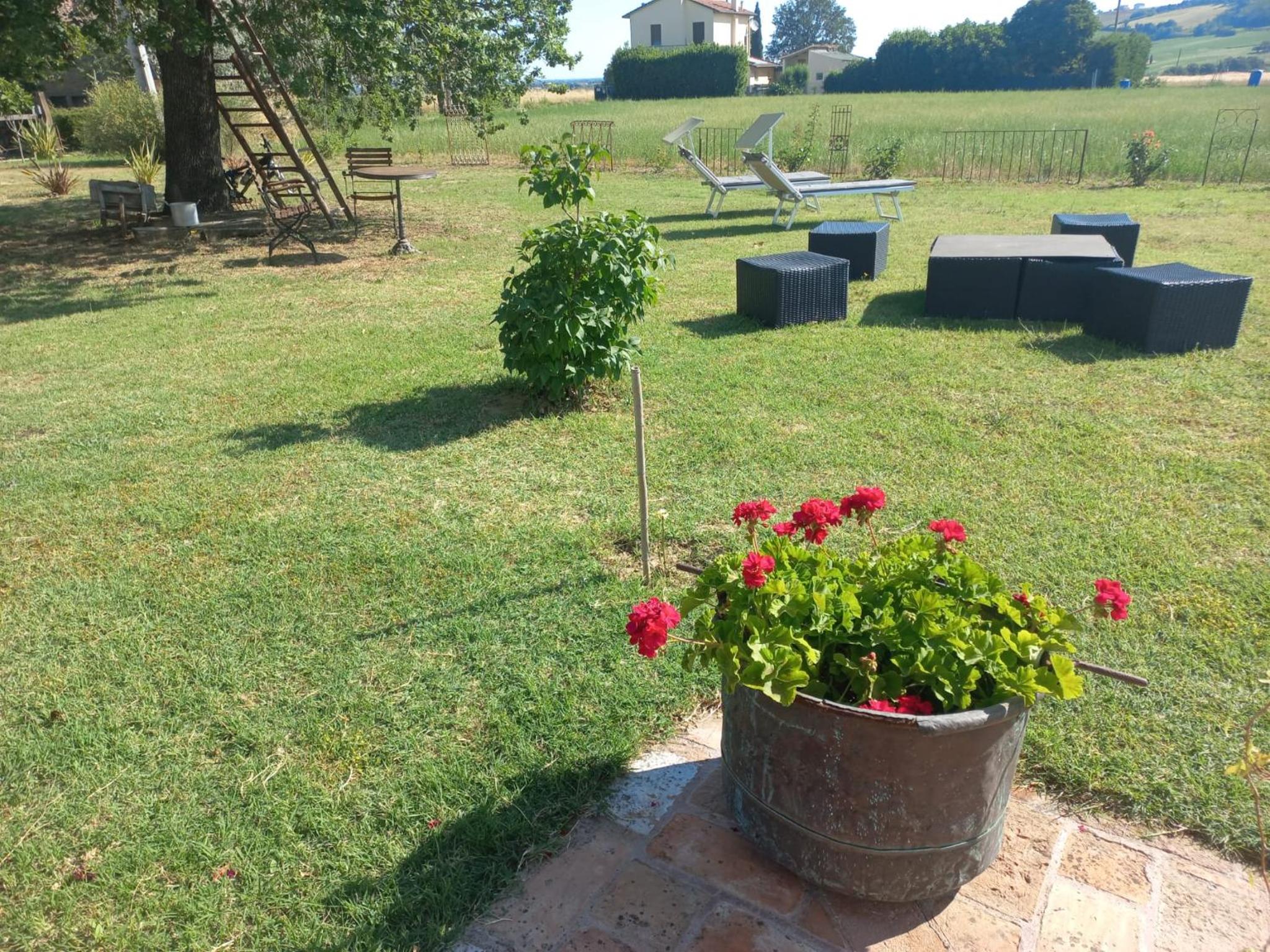 Photo 23