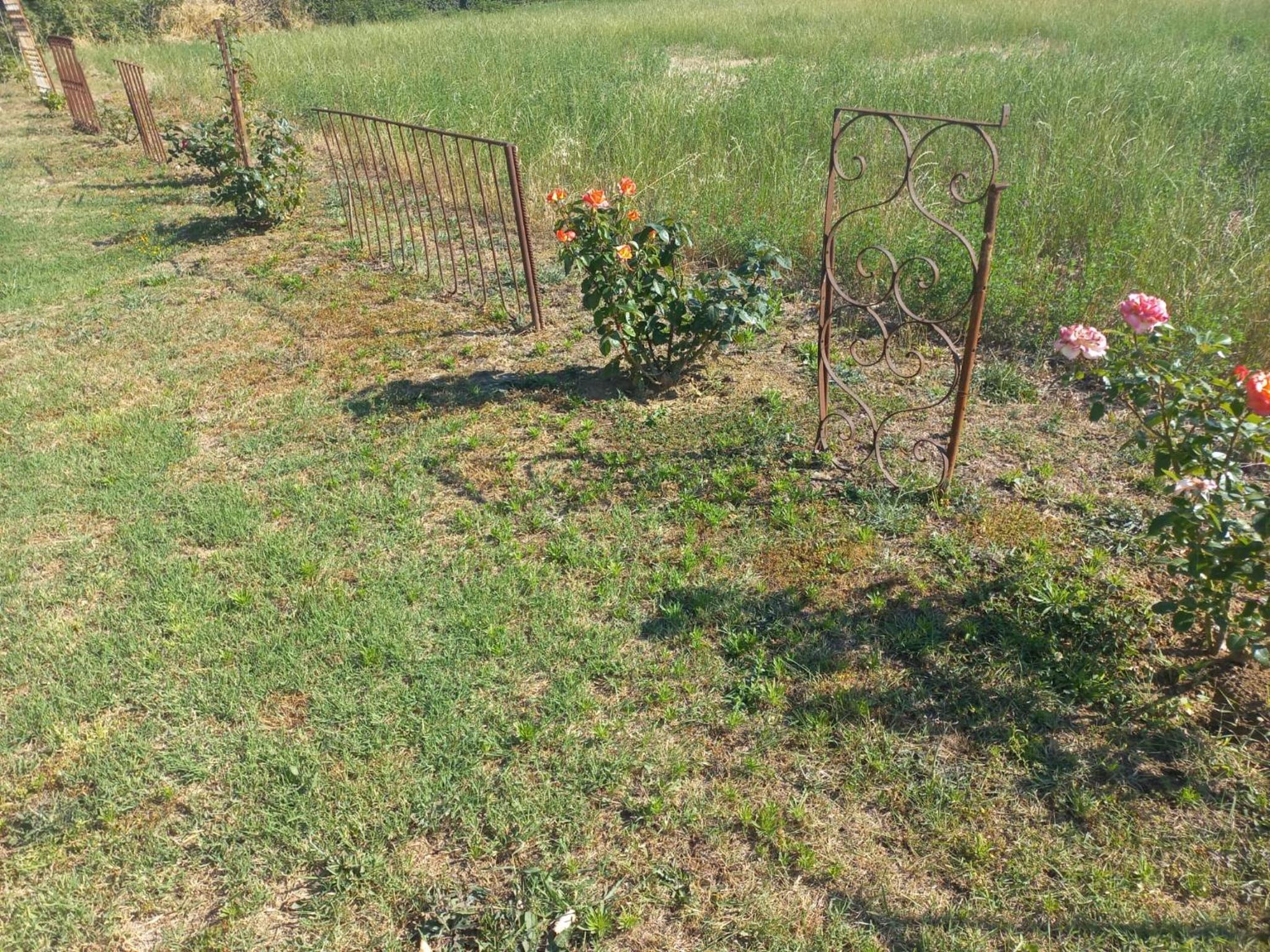 Photo 48
