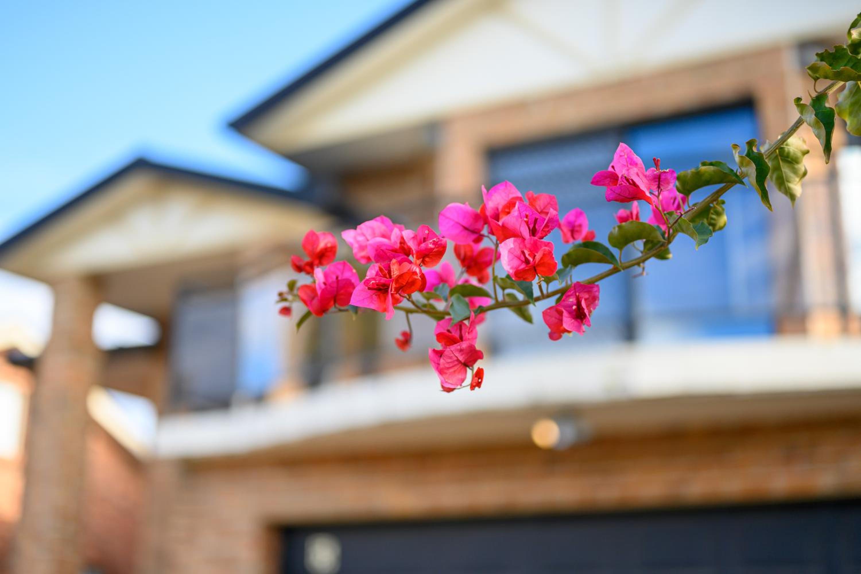 Hurstville Centre 2-level Large House