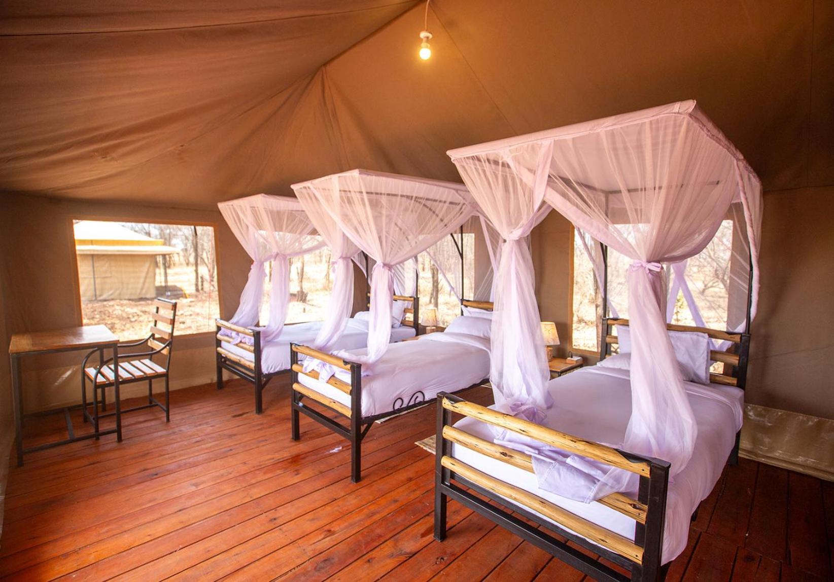 Serengeti National Park Vacations - House Of Nature Serengeti - Property Image 5