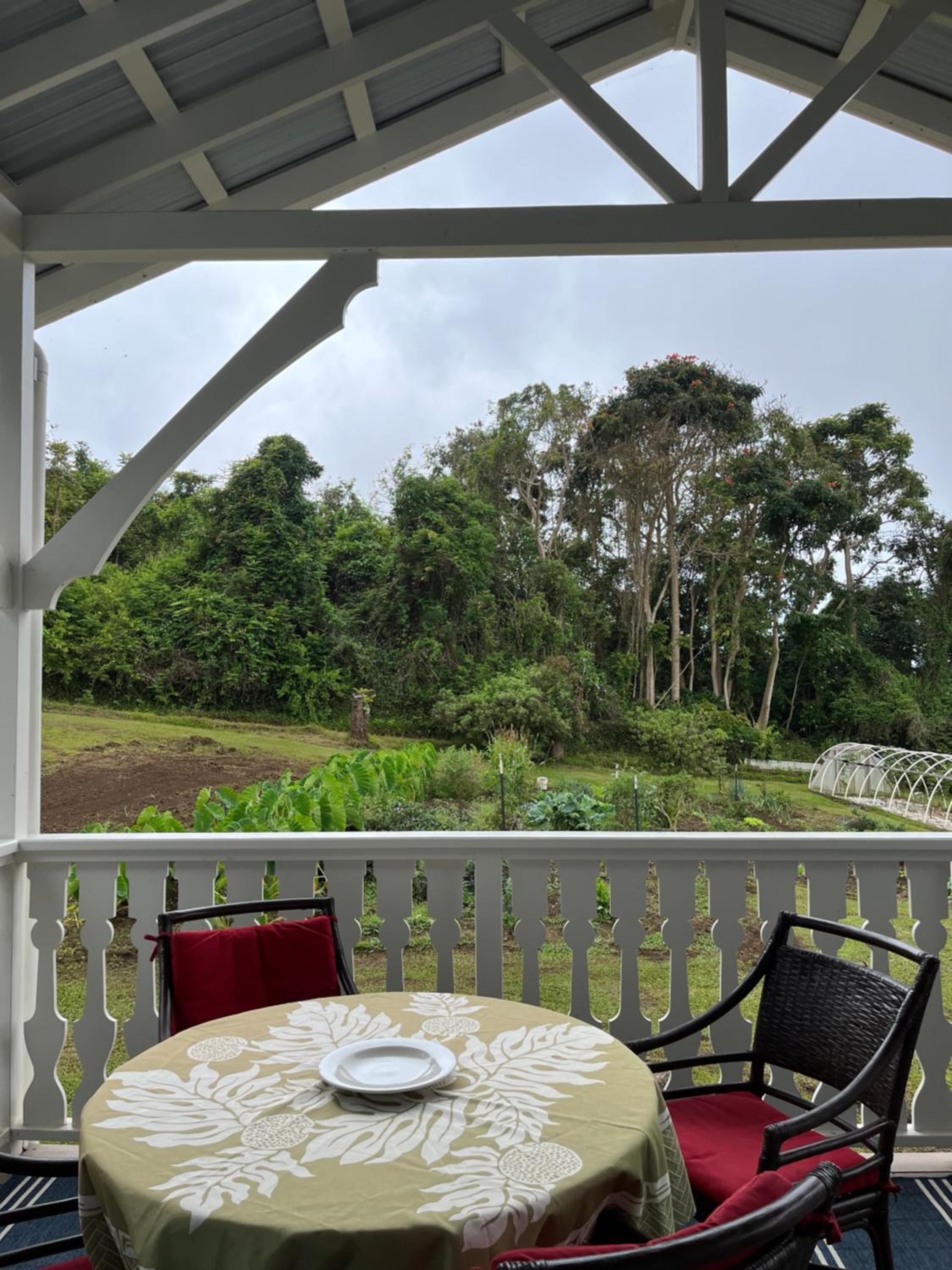 Newly Renovated Farmhouse in Kealakekua
