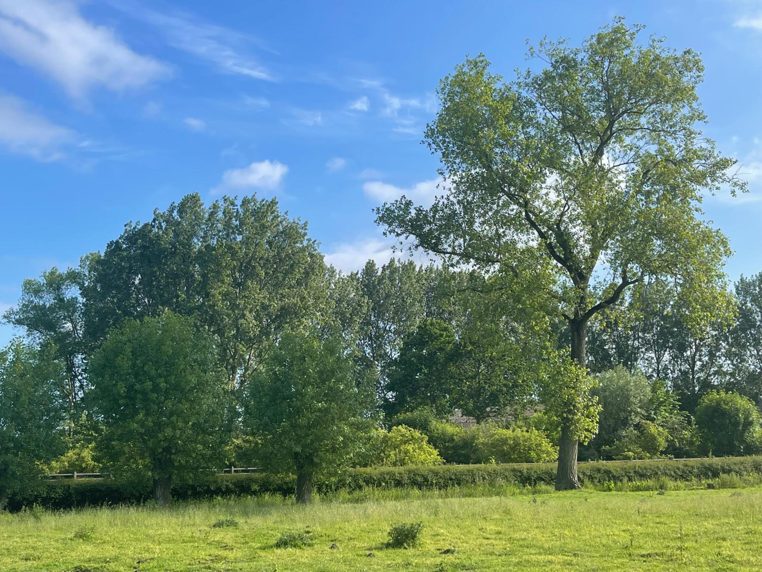 Uniek Tiny house nabij de kust in mooie polders
