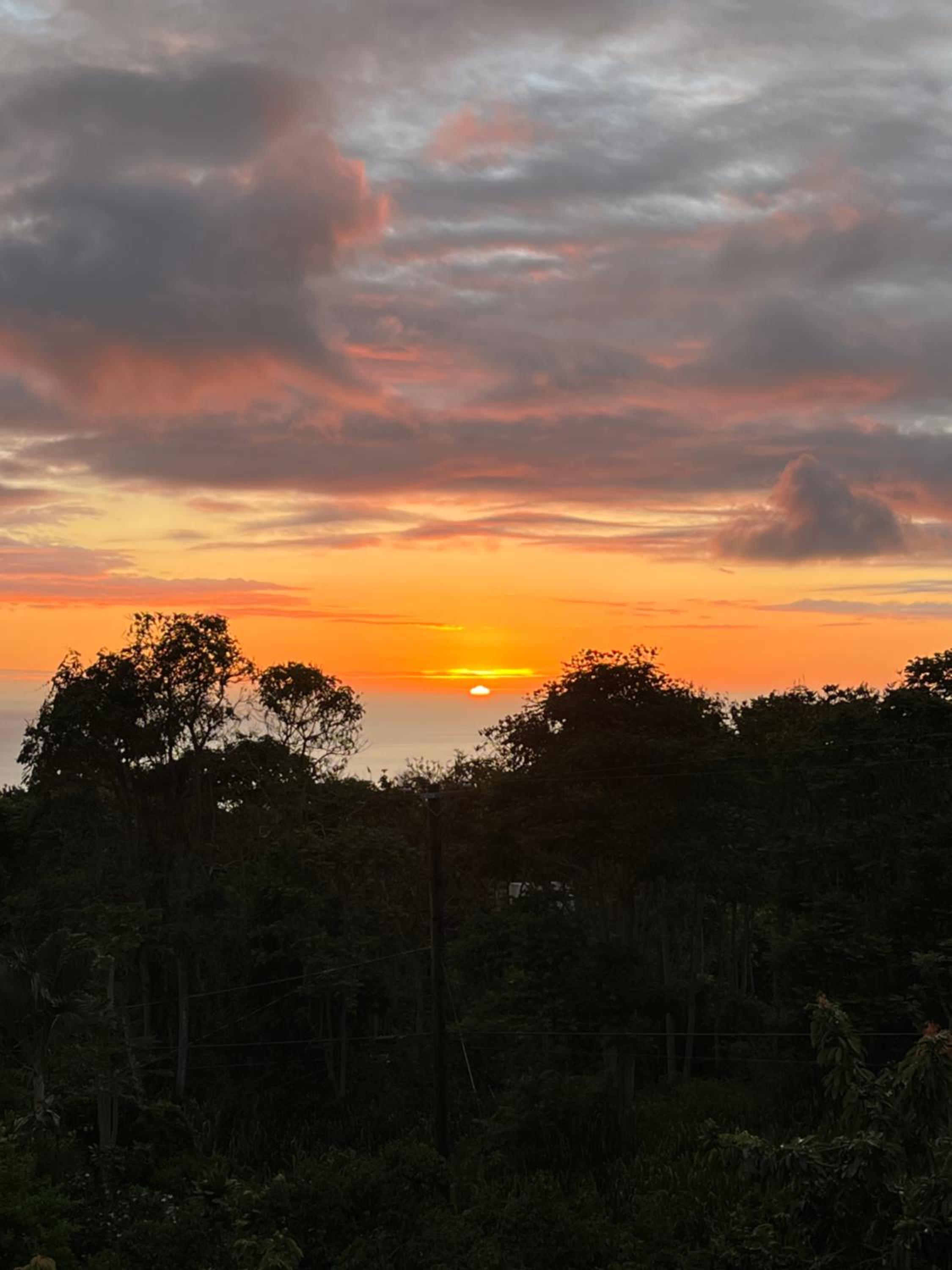 Newly Renovated Farmhouse in Kealakekua