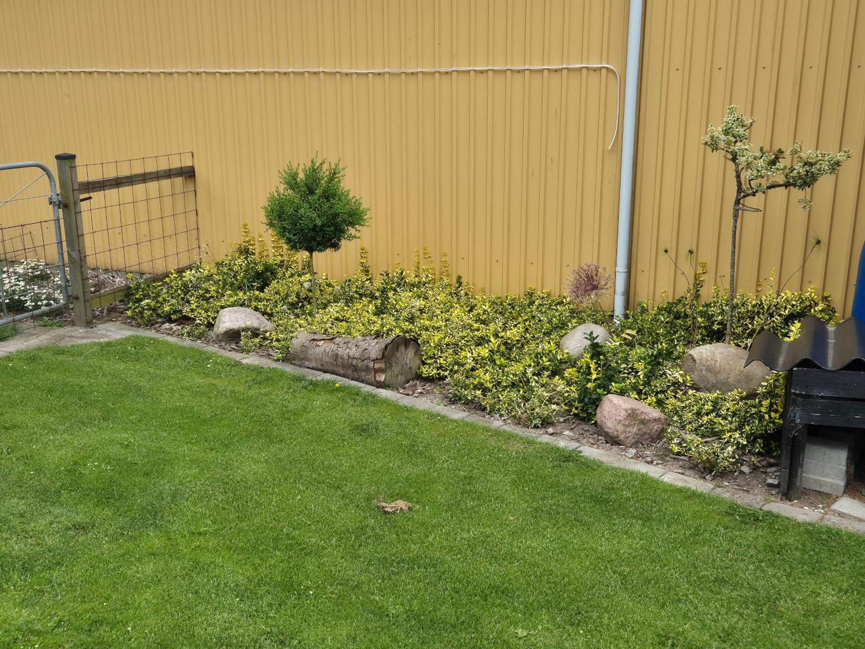 Photo 21