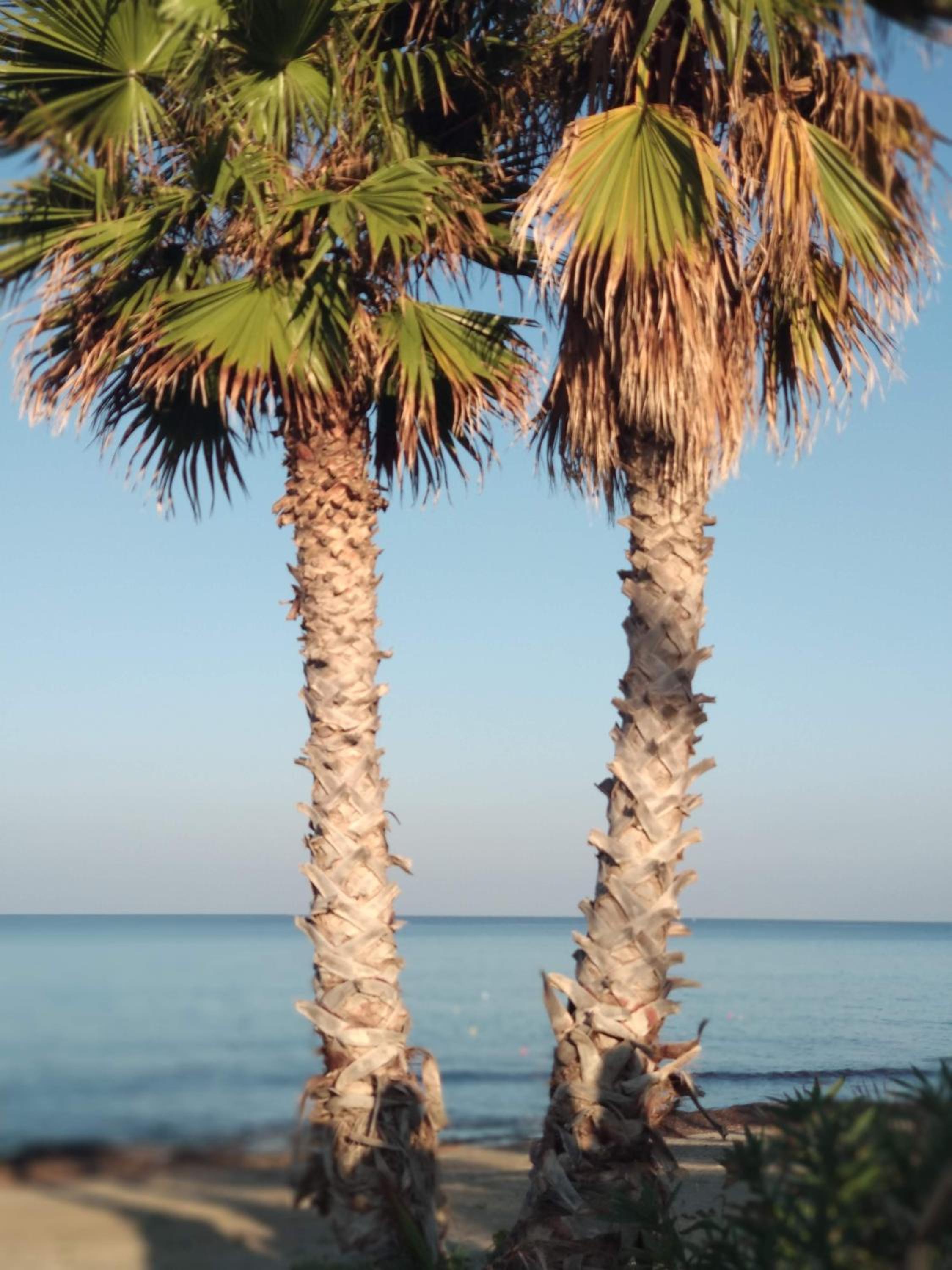 other