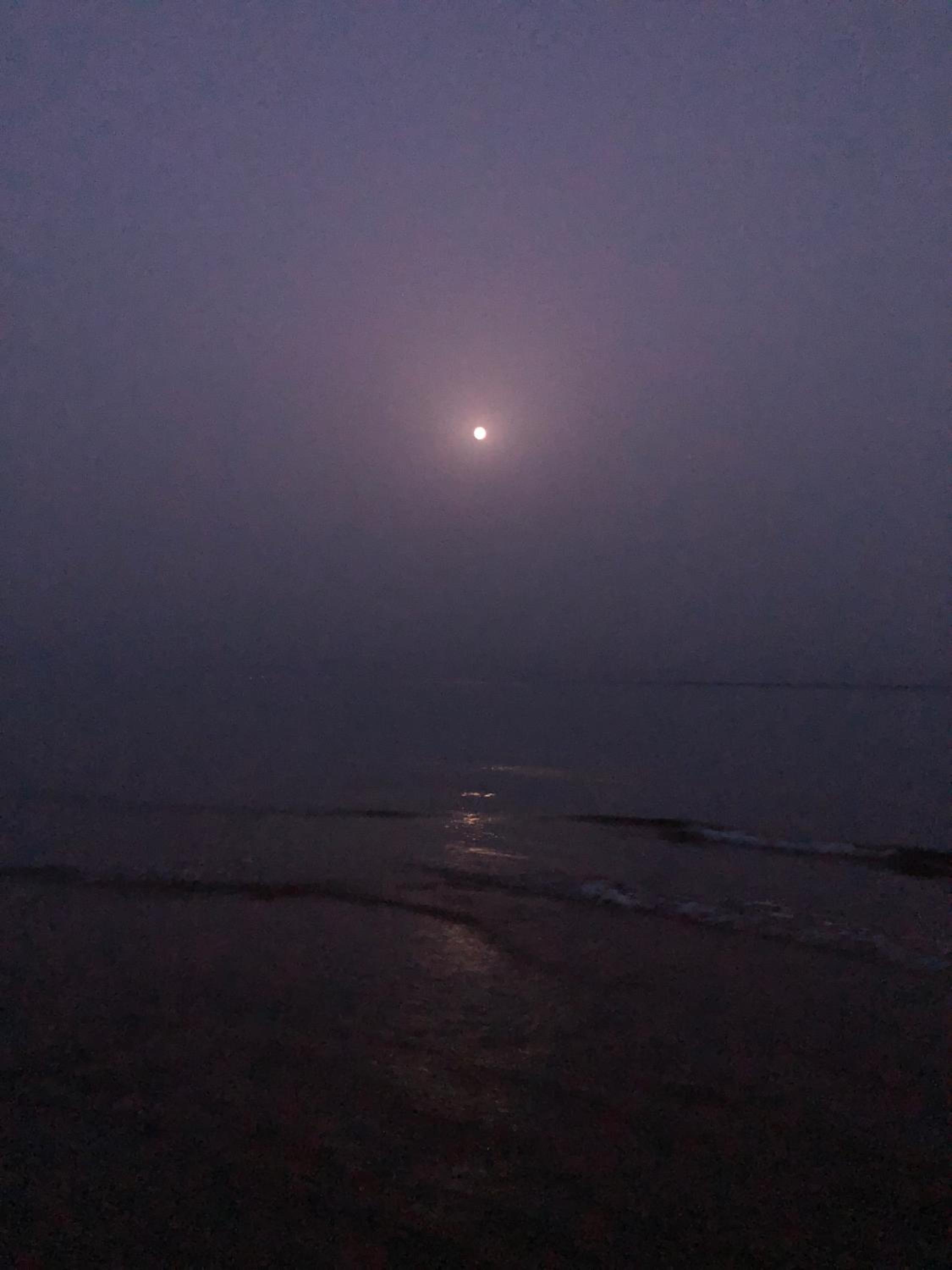 Photo 100