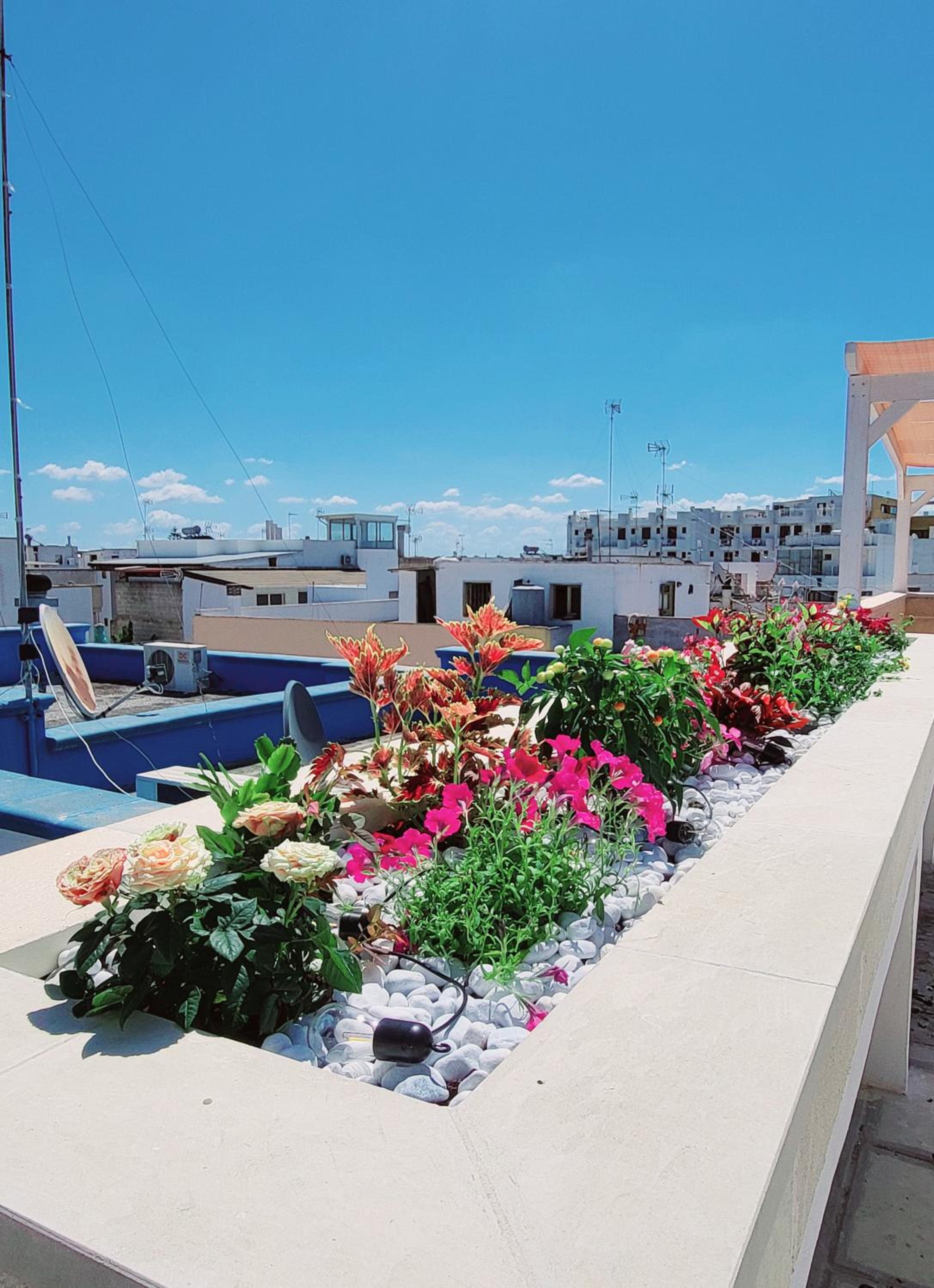 roof