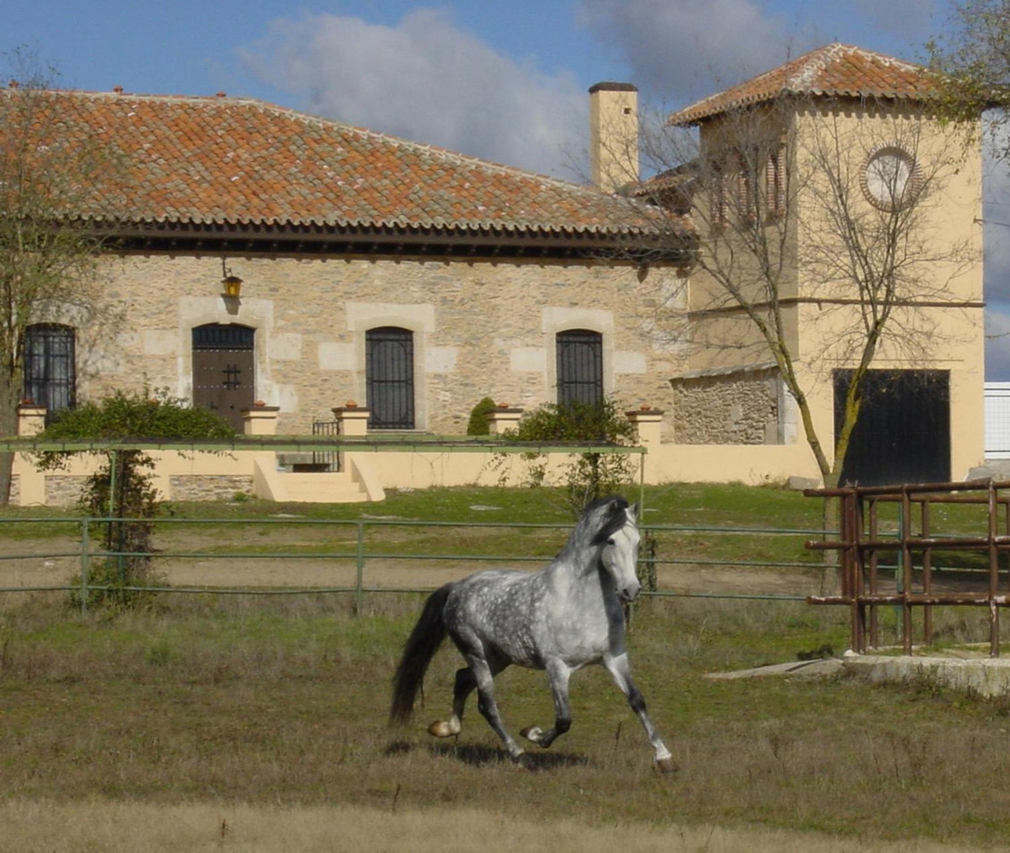 Casa Rural La Torrecilla con PISCINA PRIVADA