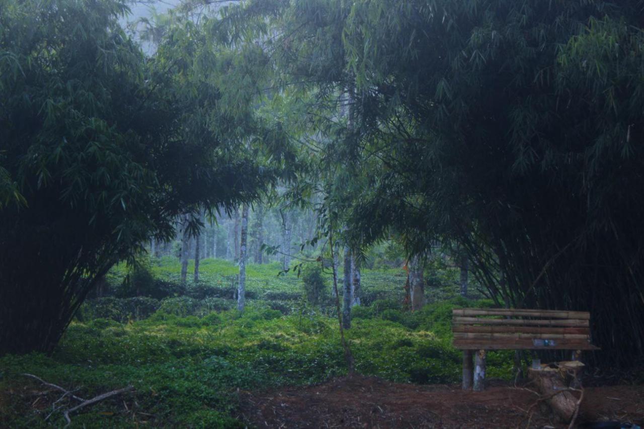 The Nature - Manor Magnifico view 4