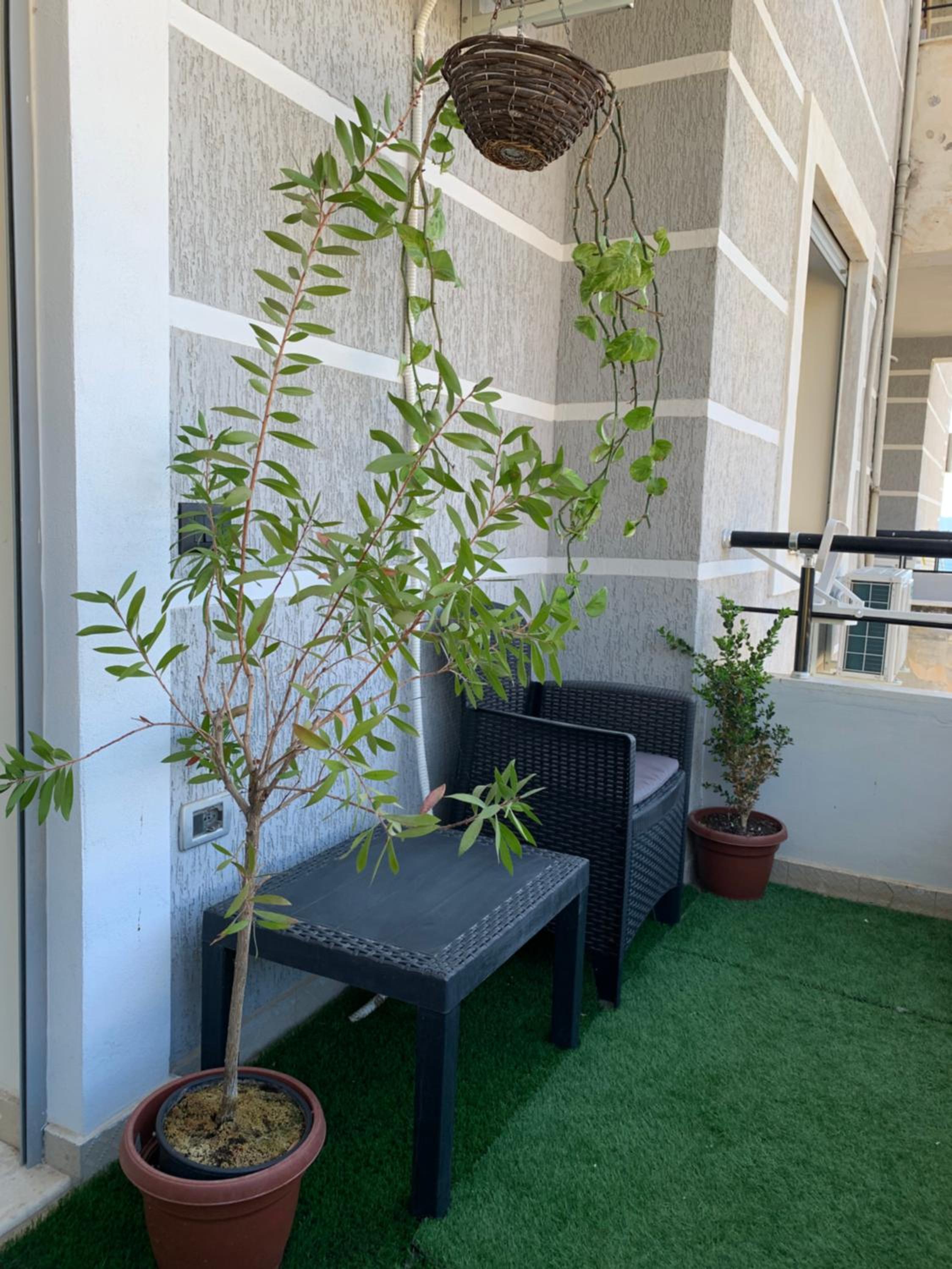 Elis apartment