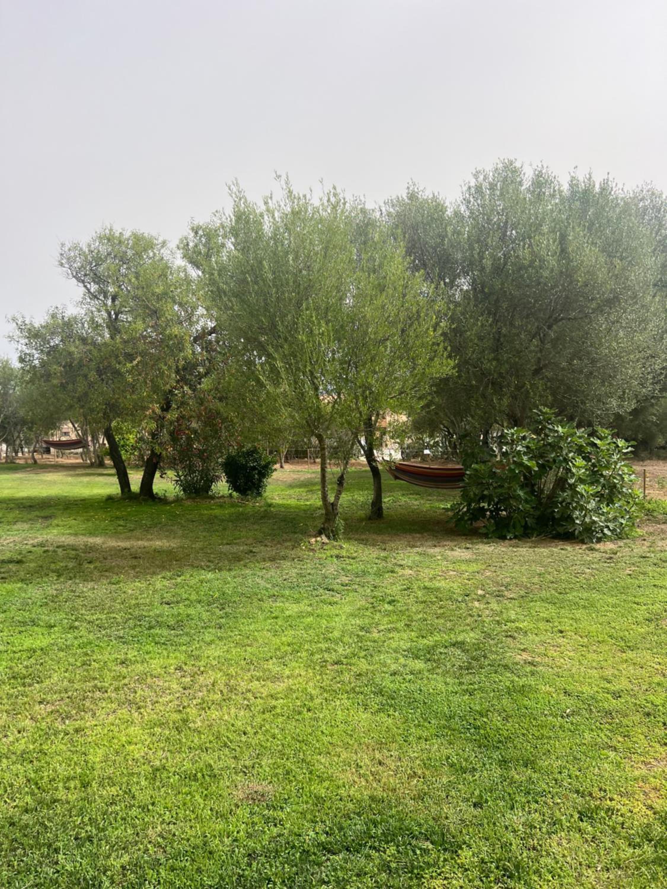 Lo Stazzo di Wally view 3