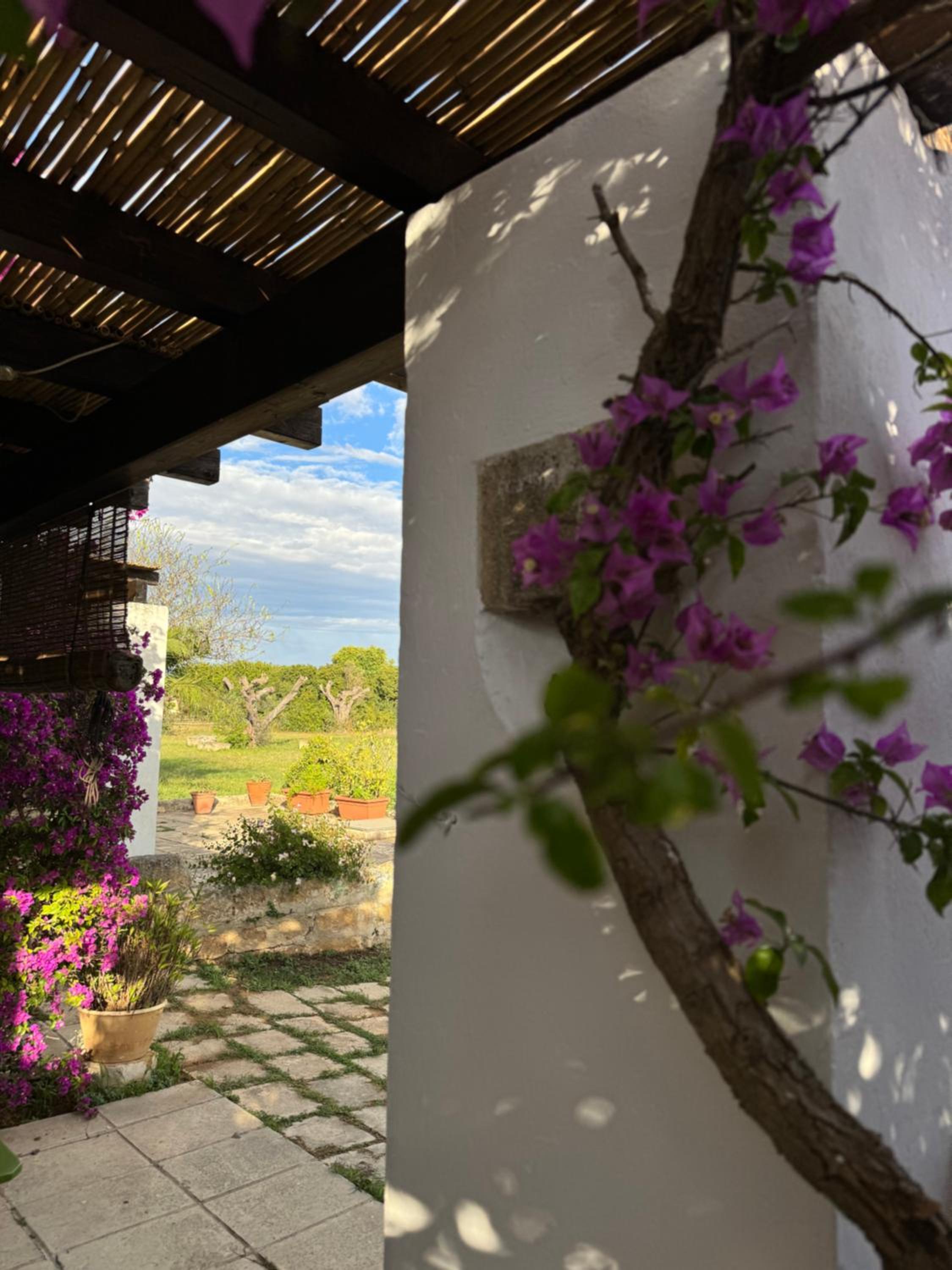 Masseria Mosca