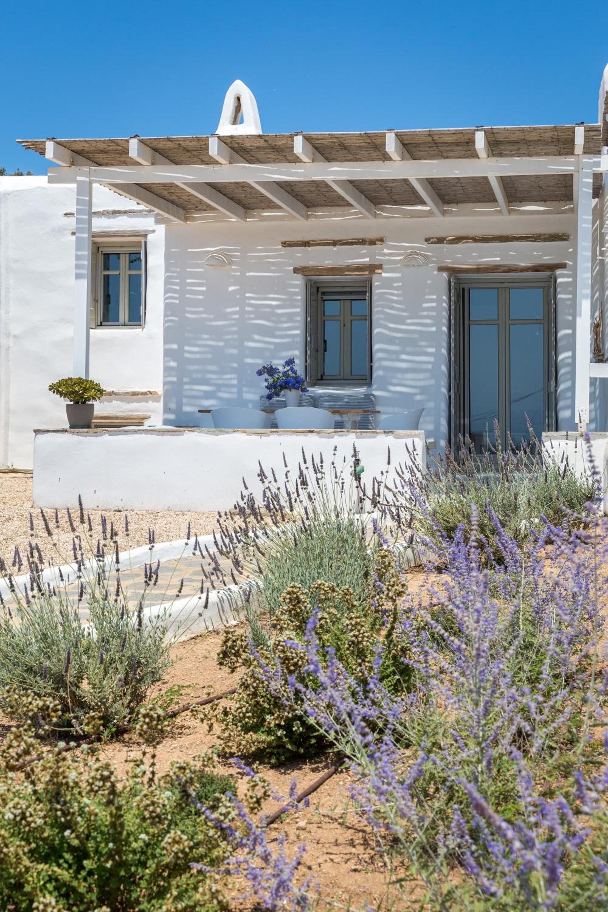 SUGAR CUBE Santa Maria