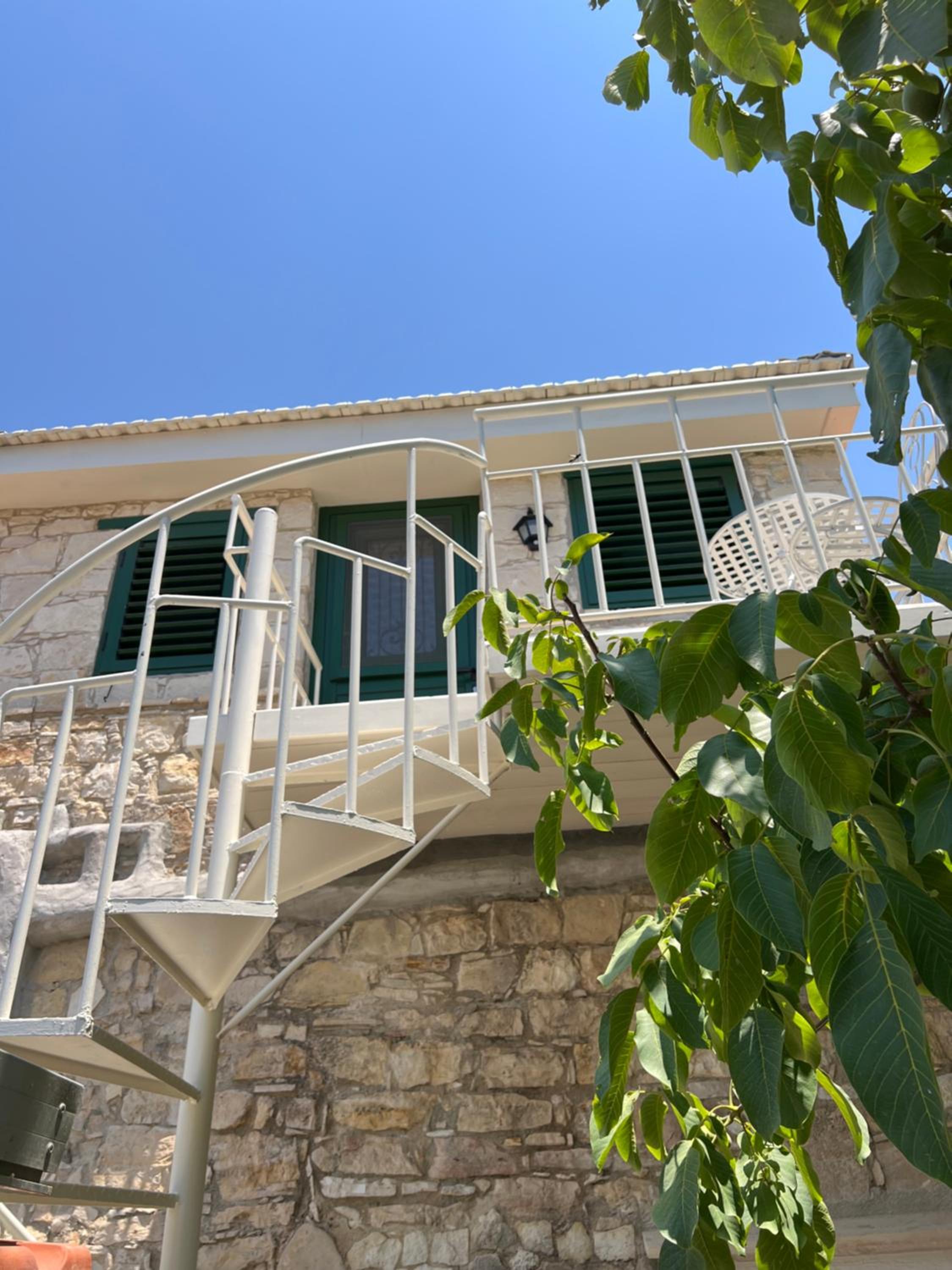 The Fig Tree House