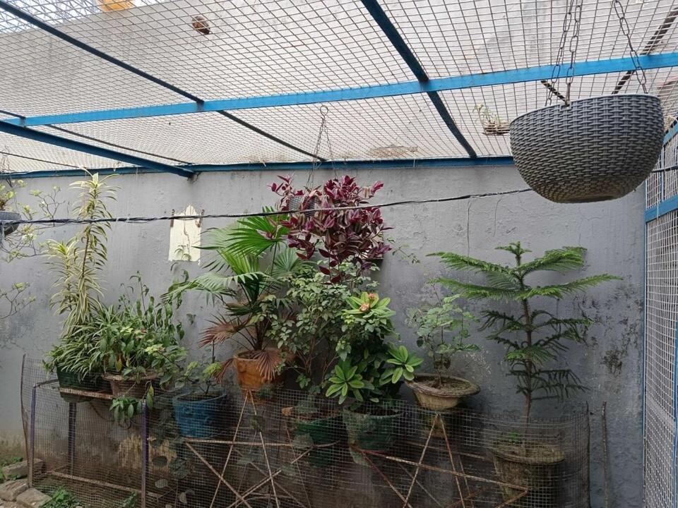 Hotel O Home Mahadev Sadan Guest House view 4