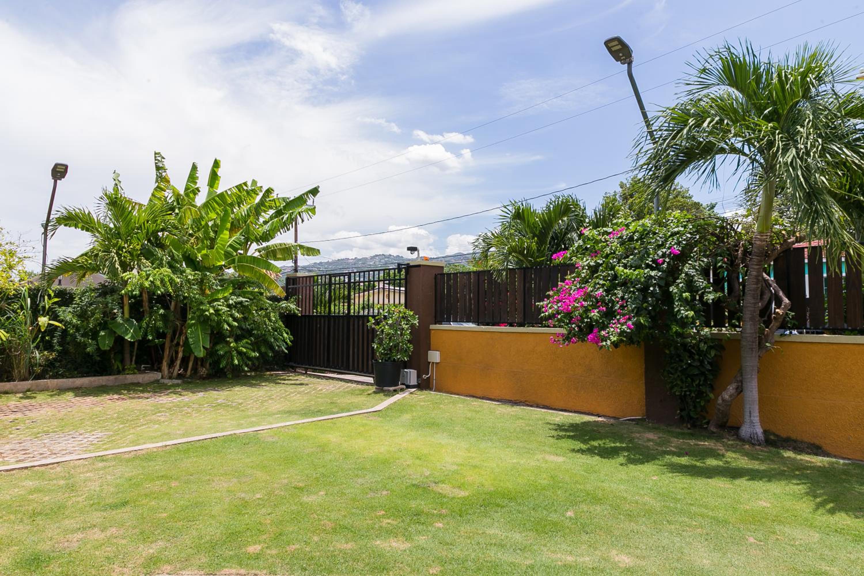 Charming Studio with Garden Oasis in Kingston view 5