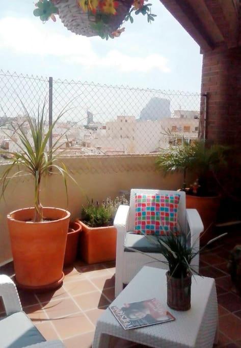 balance & terrace