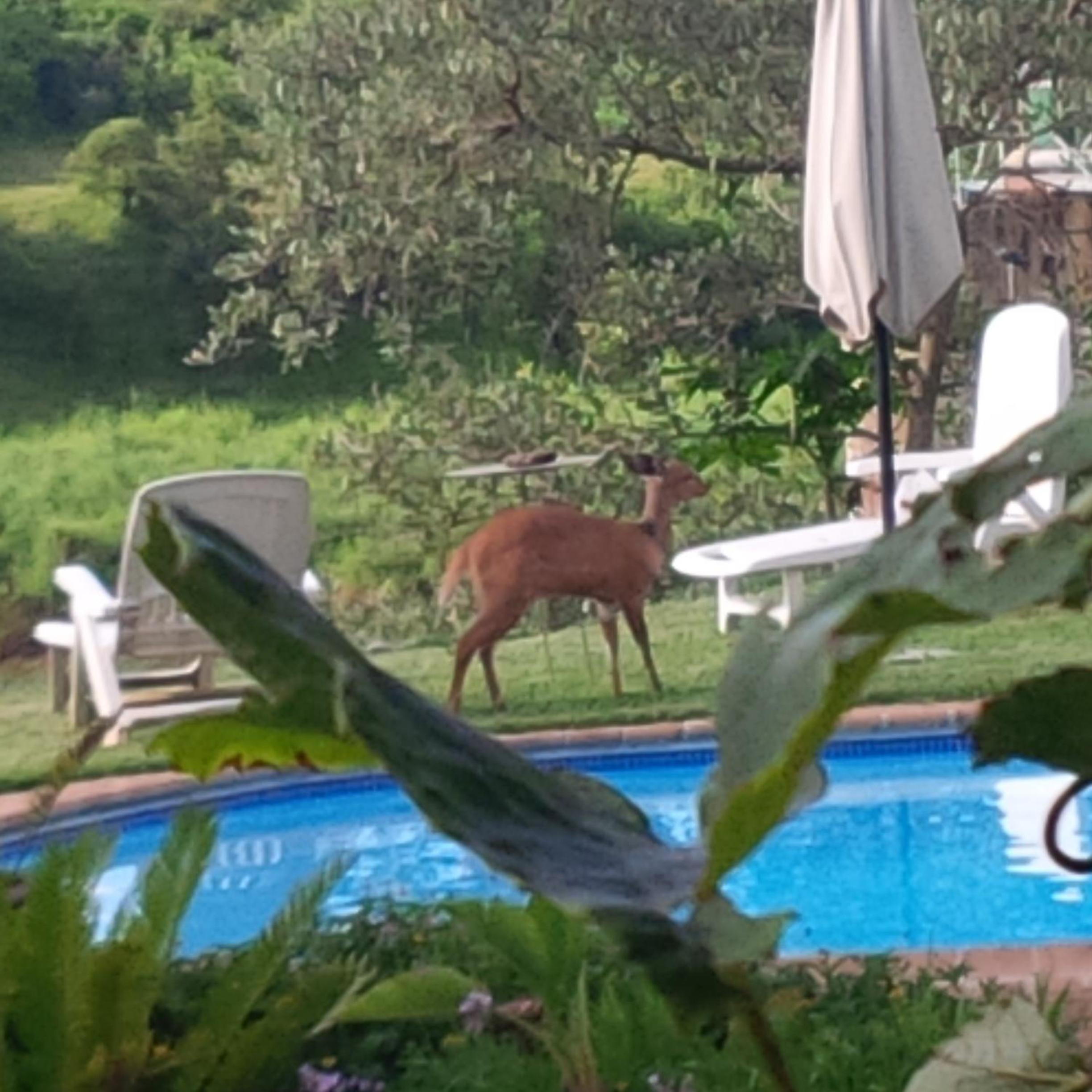 River House Lodge