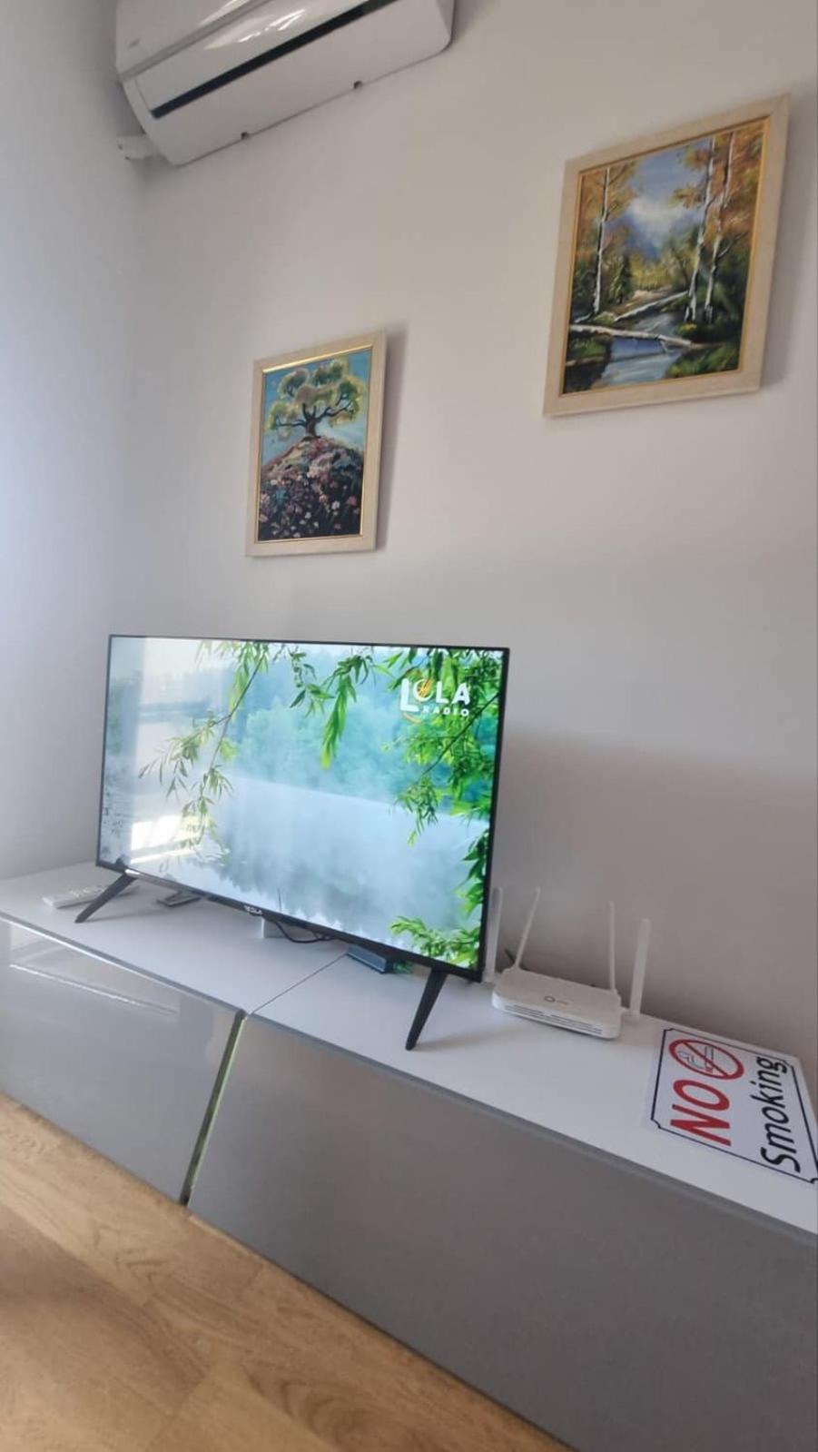 Apartman Djordjevic view 3