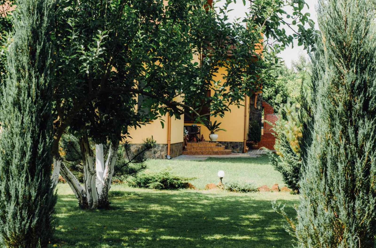 Villa Fenix view 4