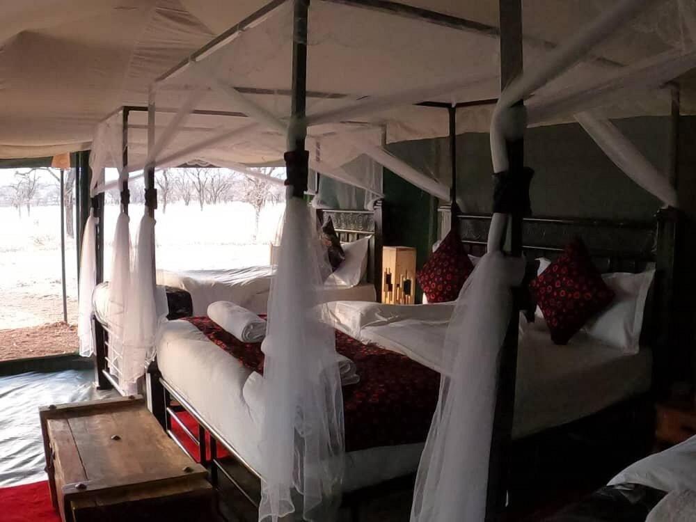 Serengeti National Park Vacations - Robin Safari Camp Serengeti - Property Image 5