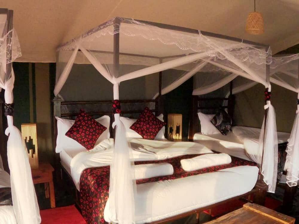 Serengeti National Park Vacations - Robin Safari Camp Serengeti - Property Image 4