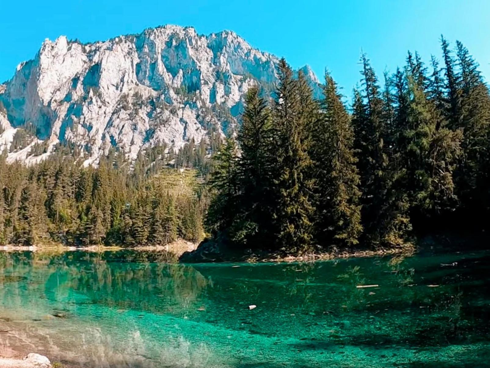 Grüner See Exklusiv