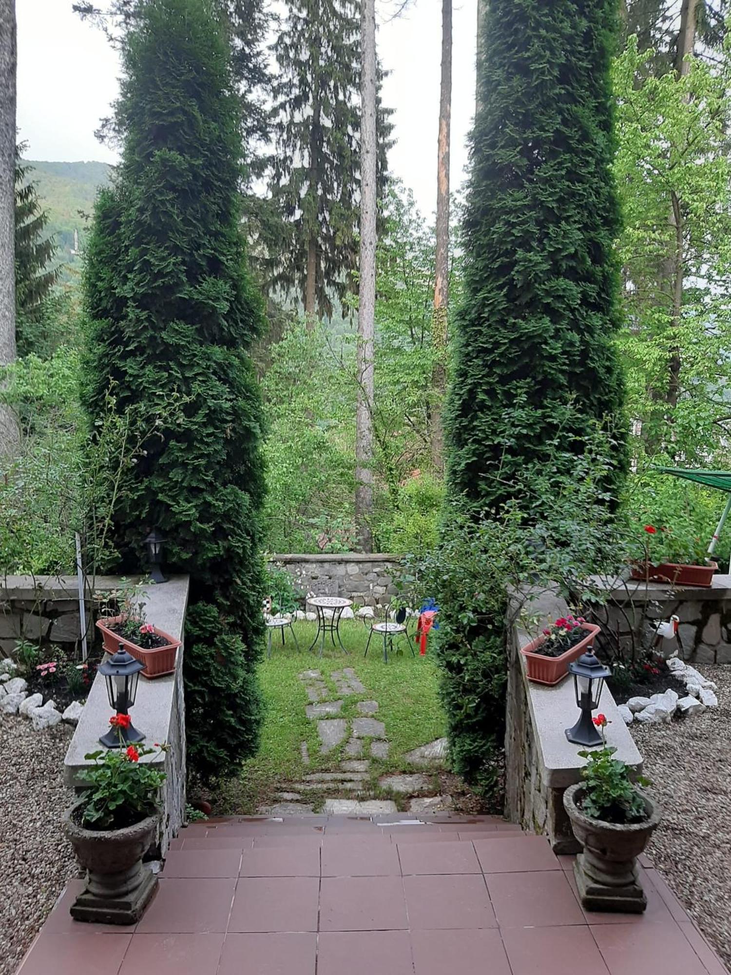 Photo 52