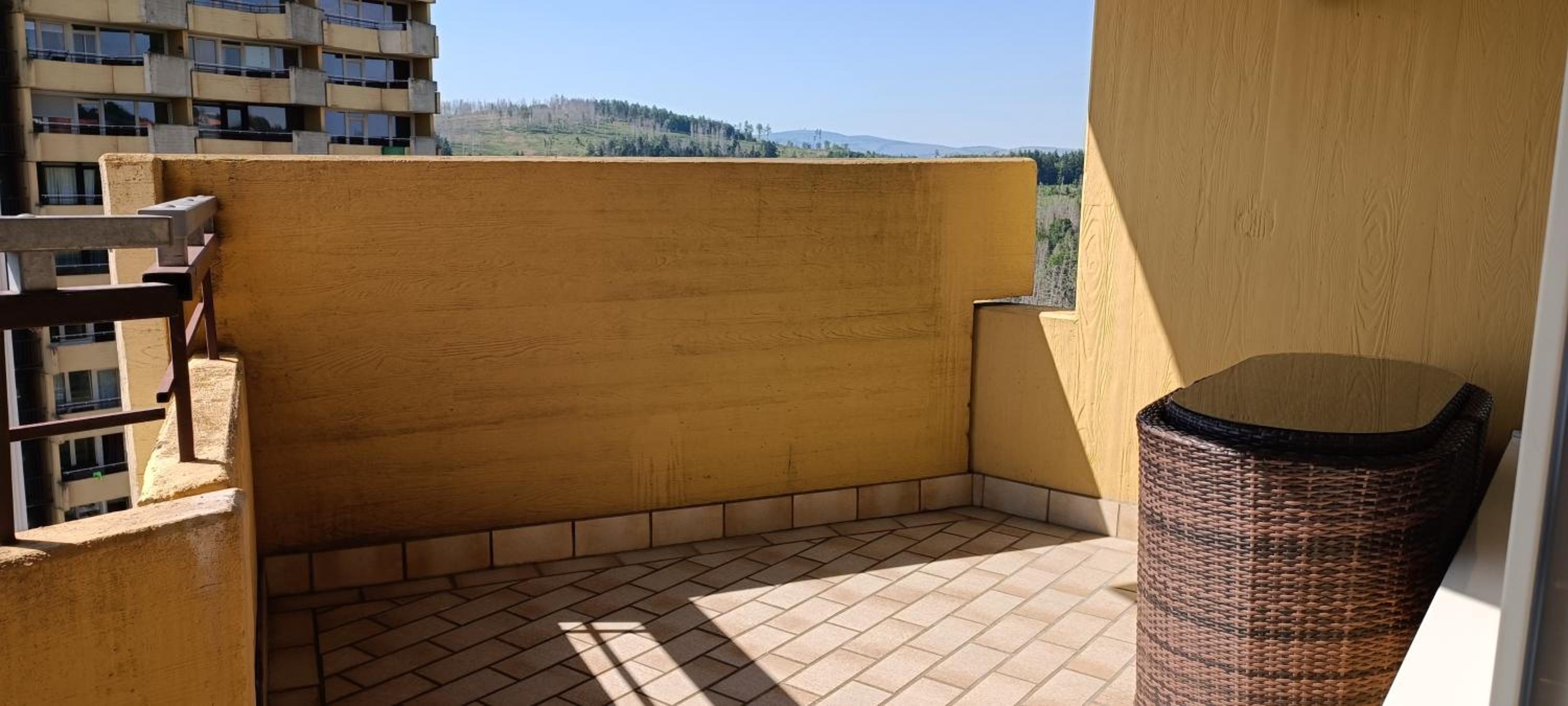 Apartment 350 mit Brockenblick