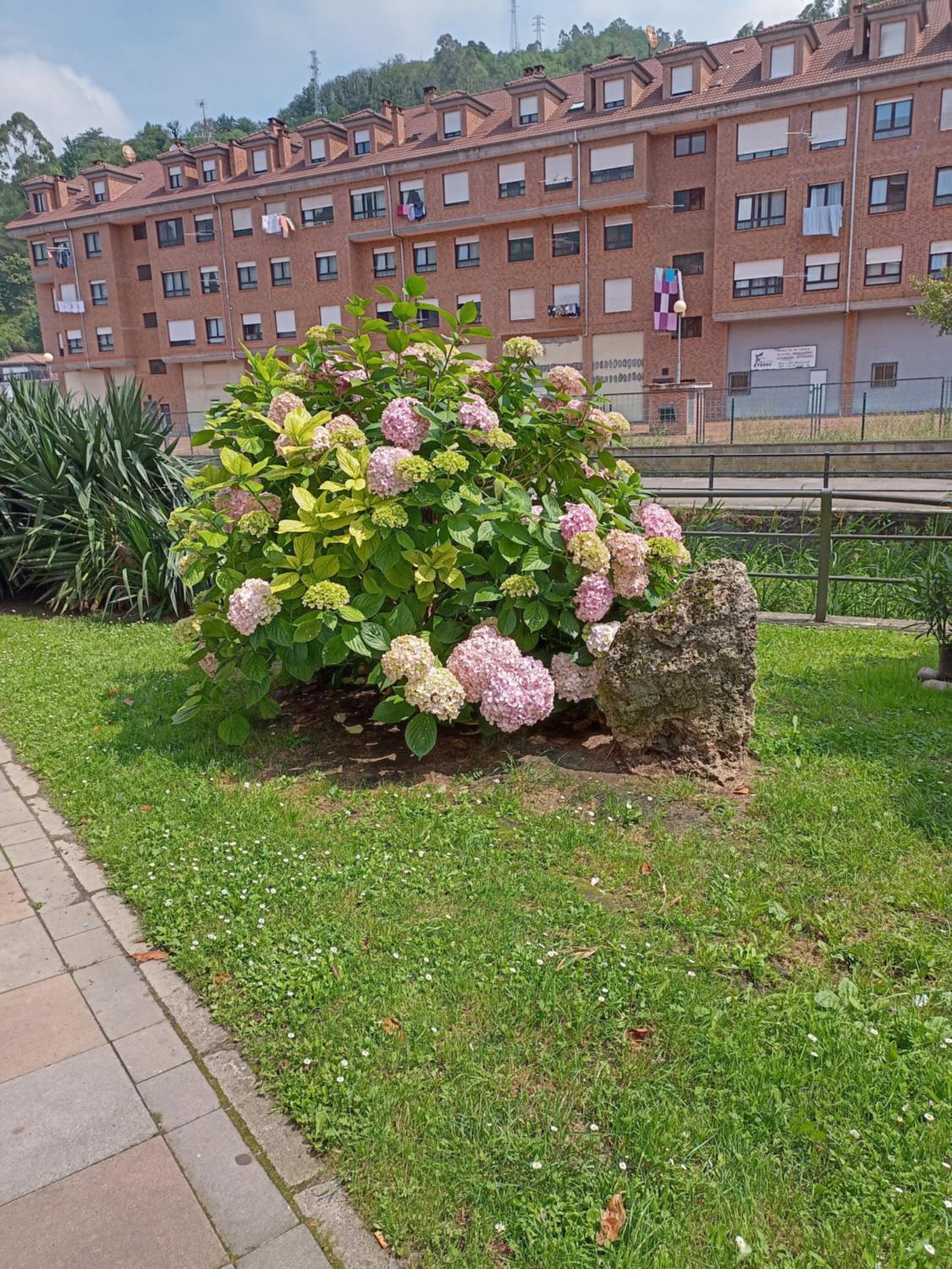 Photo 37