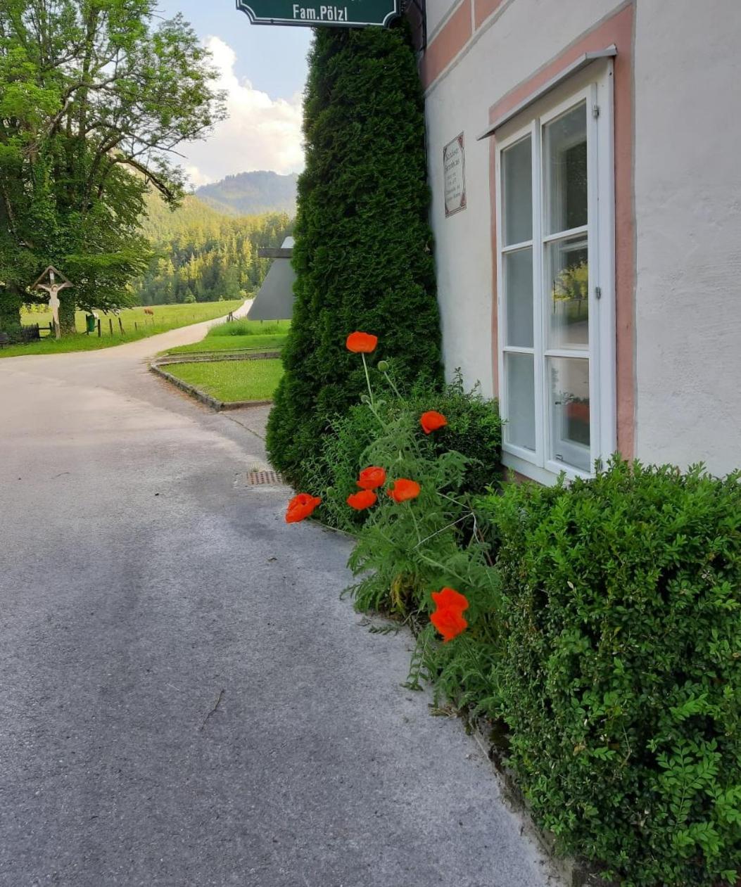 Ferienwohnungen Taverne