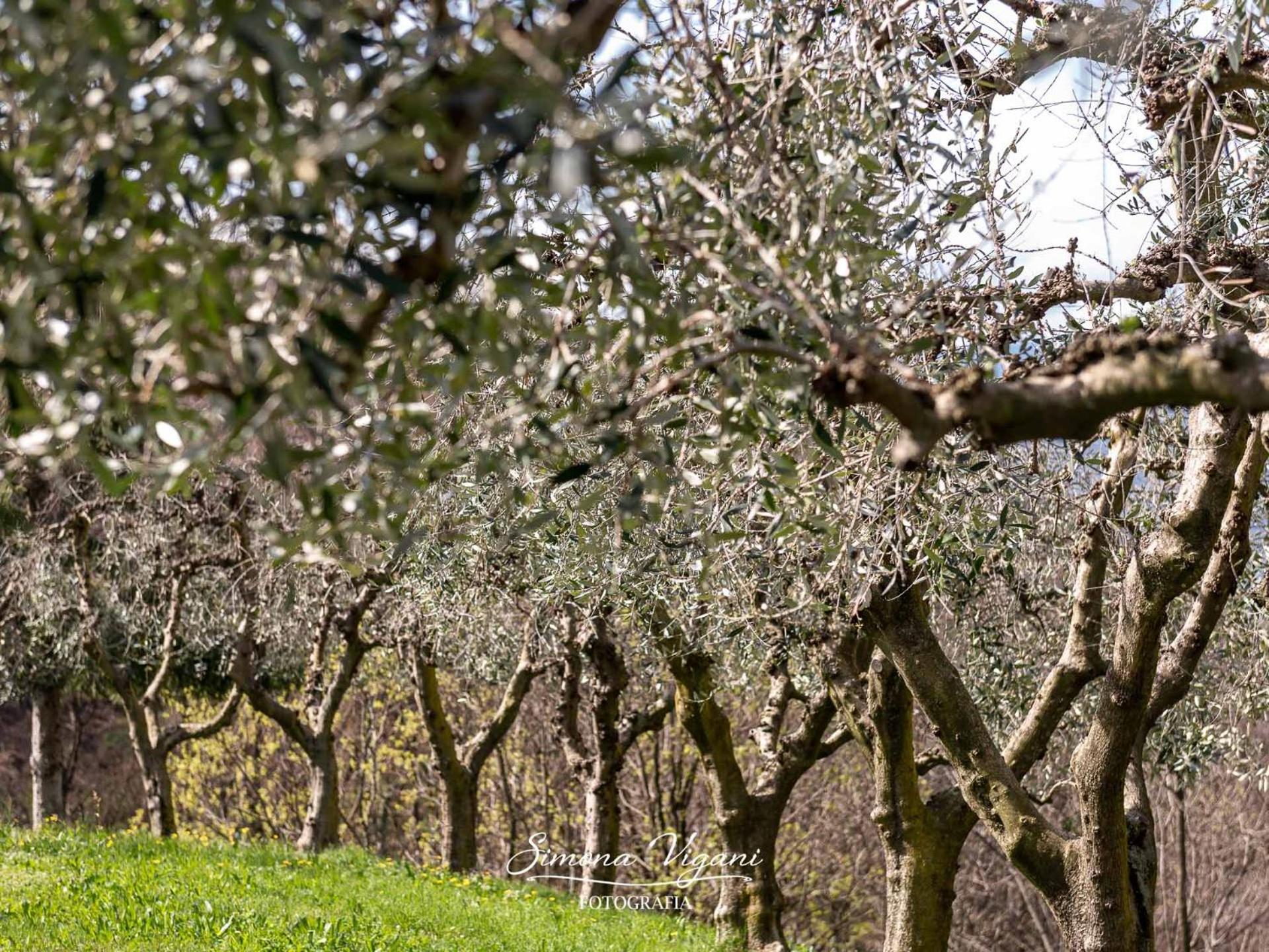 Cascina Capéle