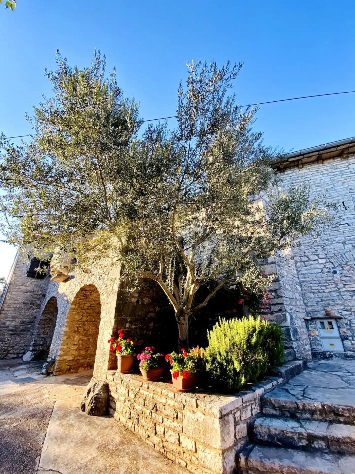 Authentic stone house Miro