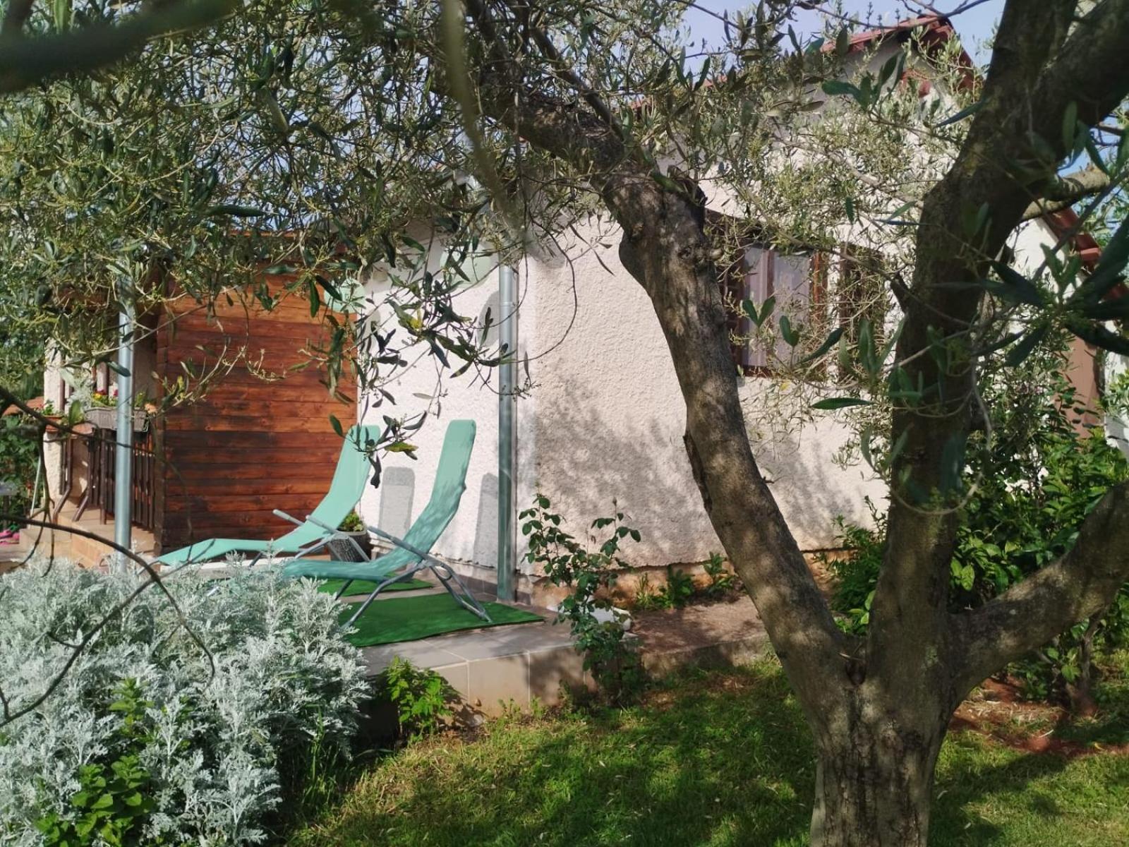 Holiday house