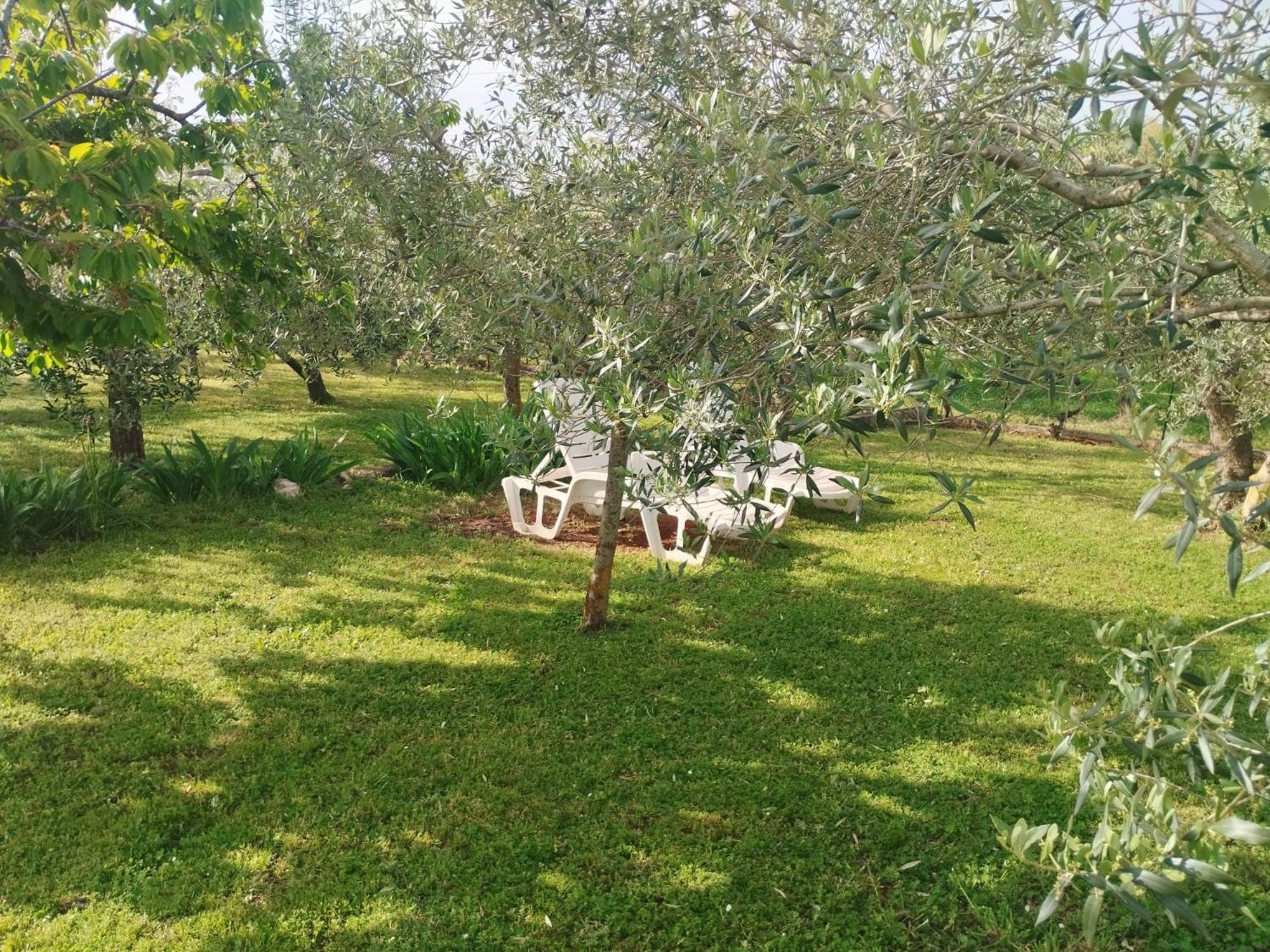 Holiday house