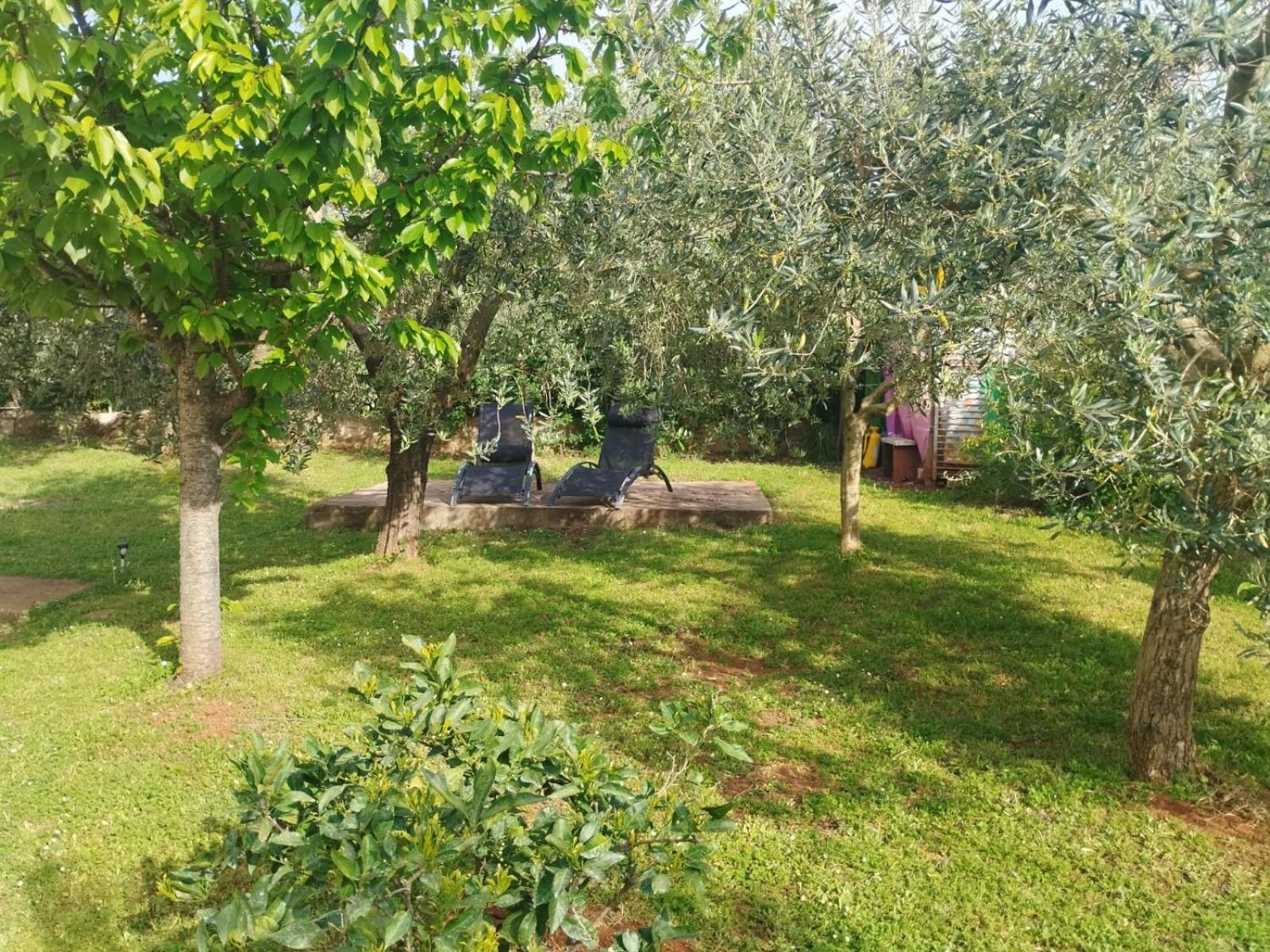 Holiday house