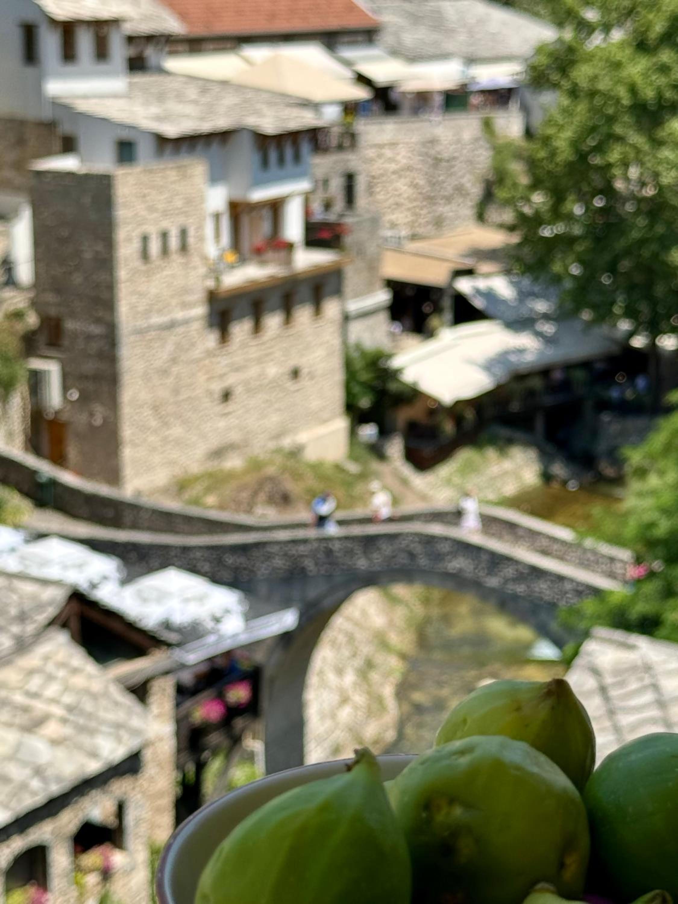 Old Town Nest