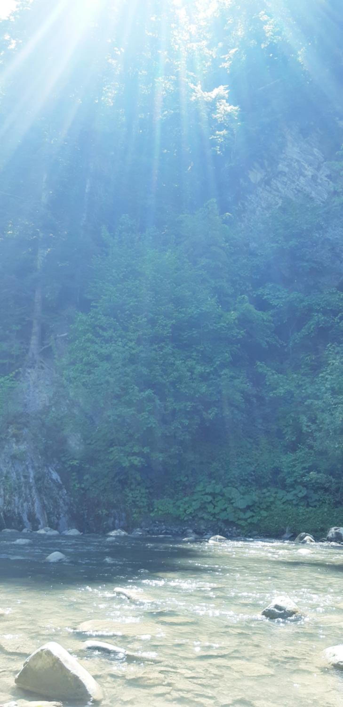 Camping Pentru Rulote, Auto Rulote, Corturi Personale La Barbosu in Lepsa, Vrancea view 4