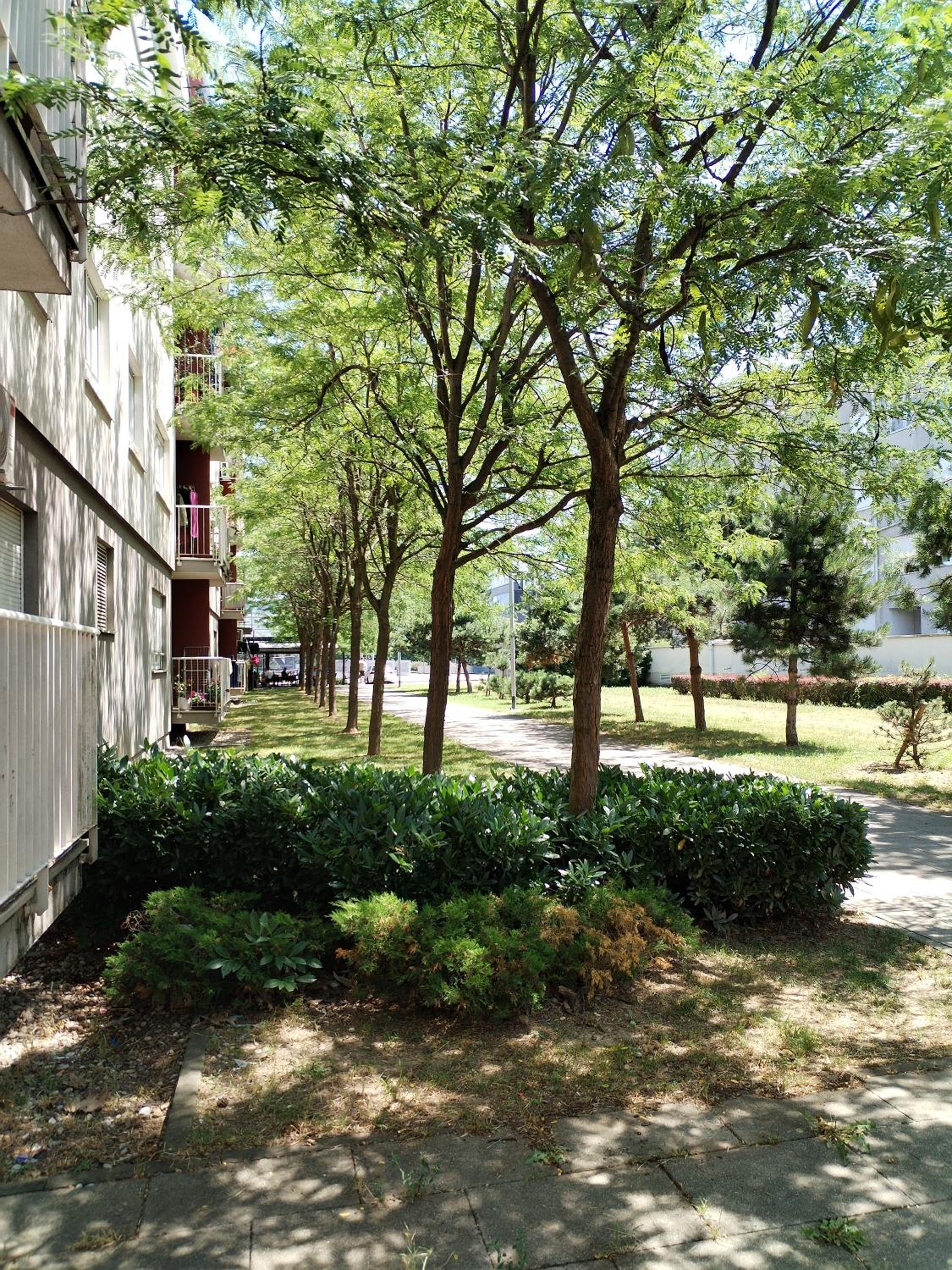 Apartman Ivana