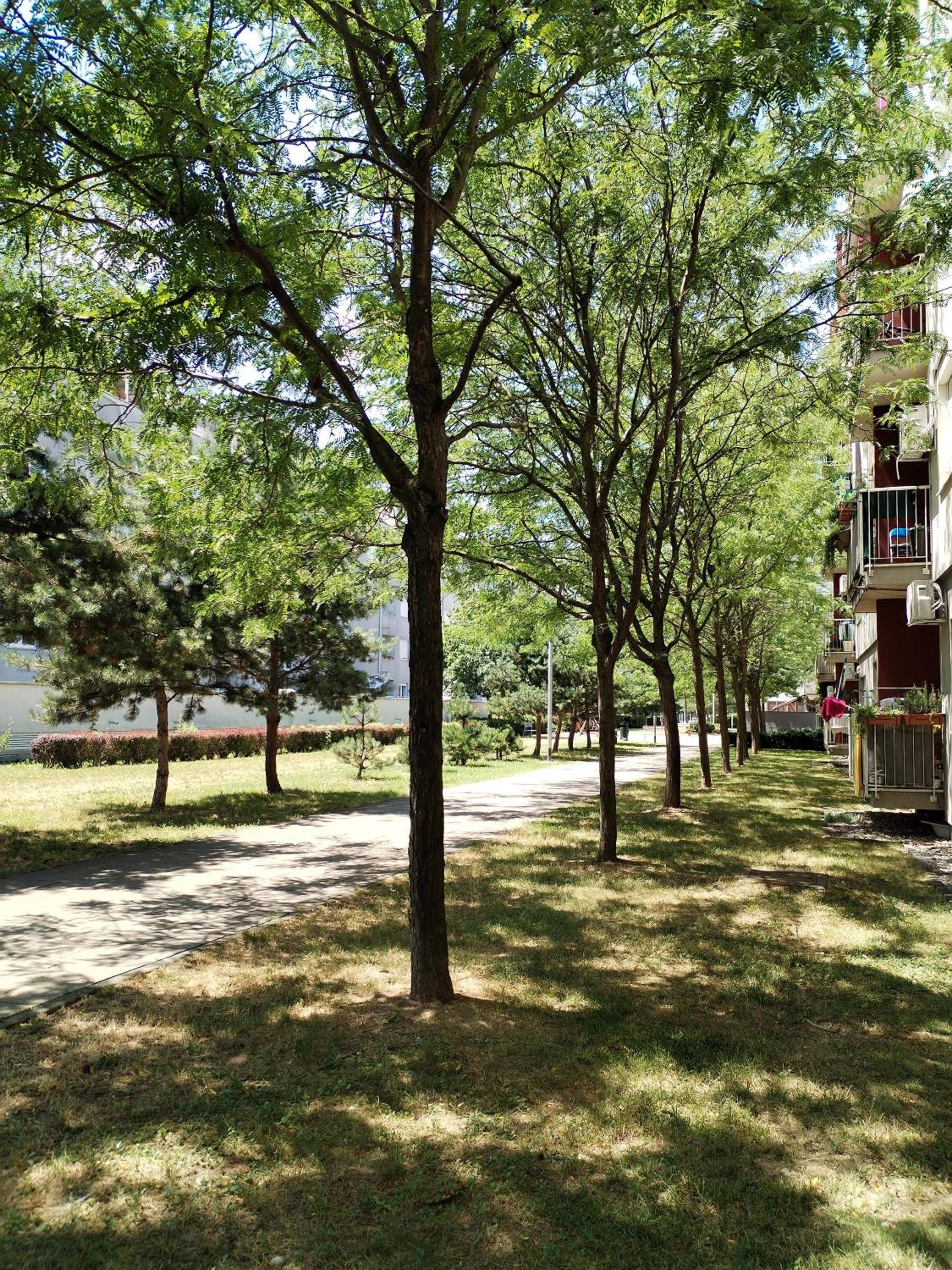 Apartman Ivana