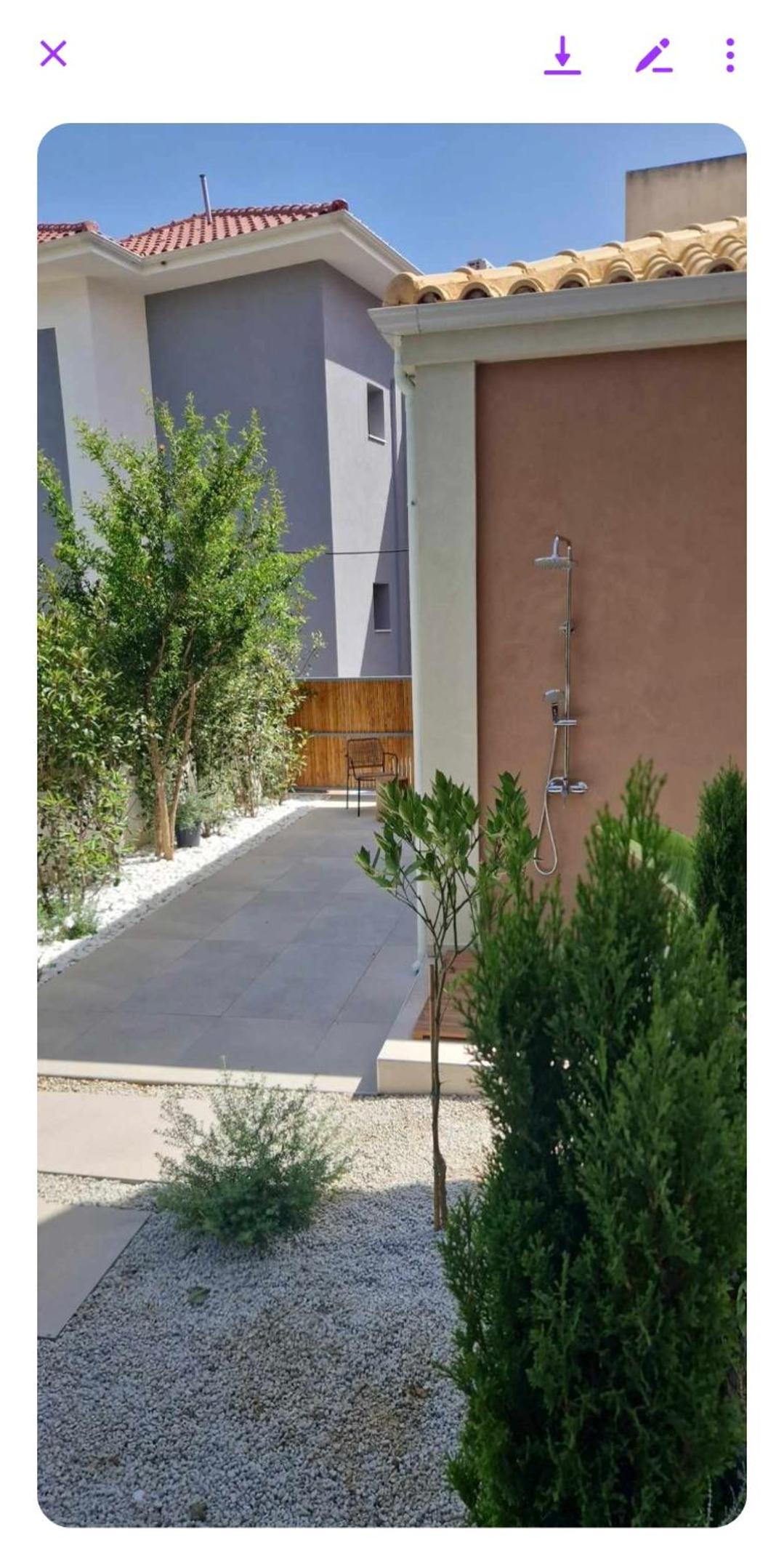 Avli