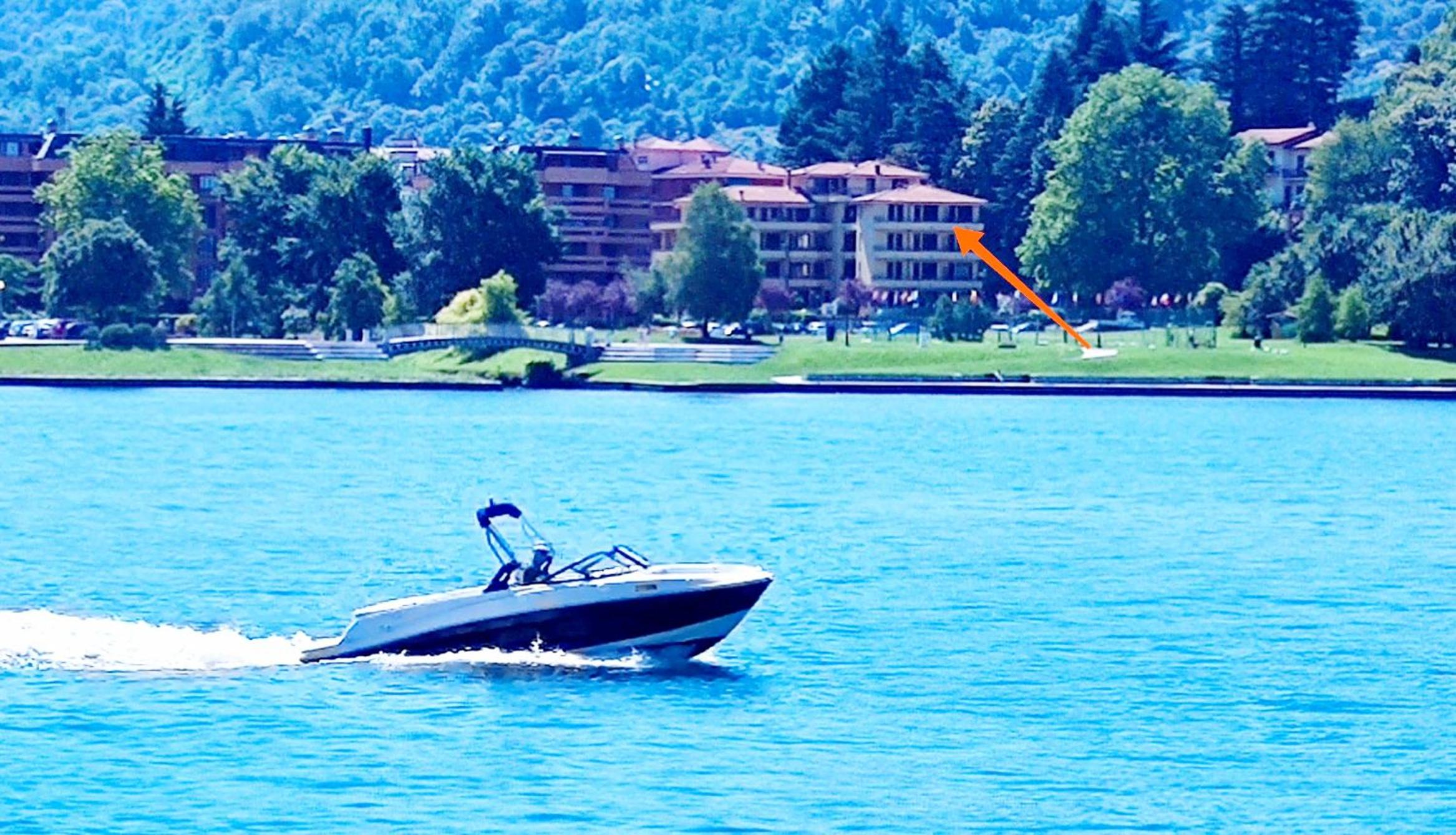 Lily Lake Maggiore