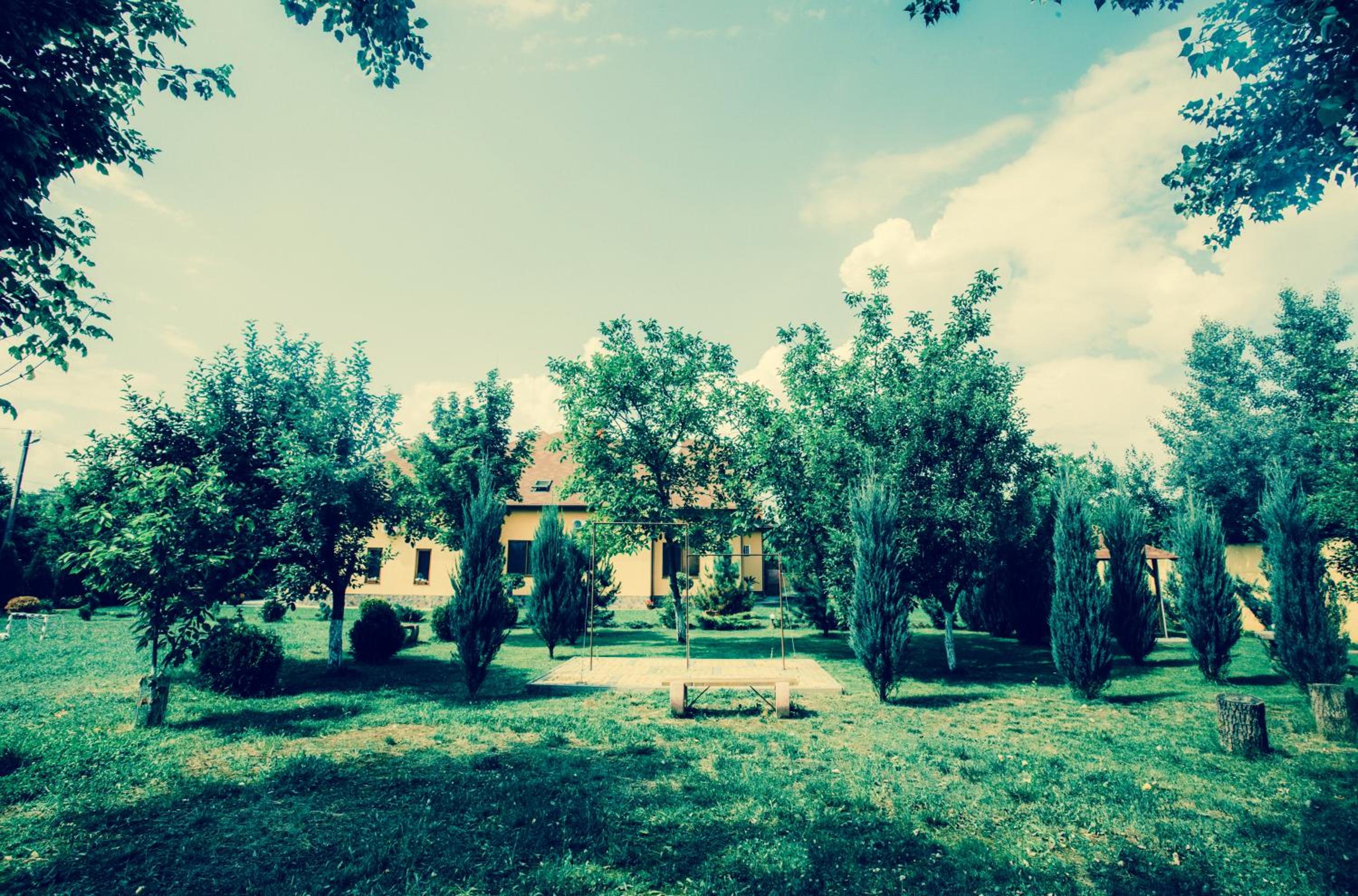 Photo 23
