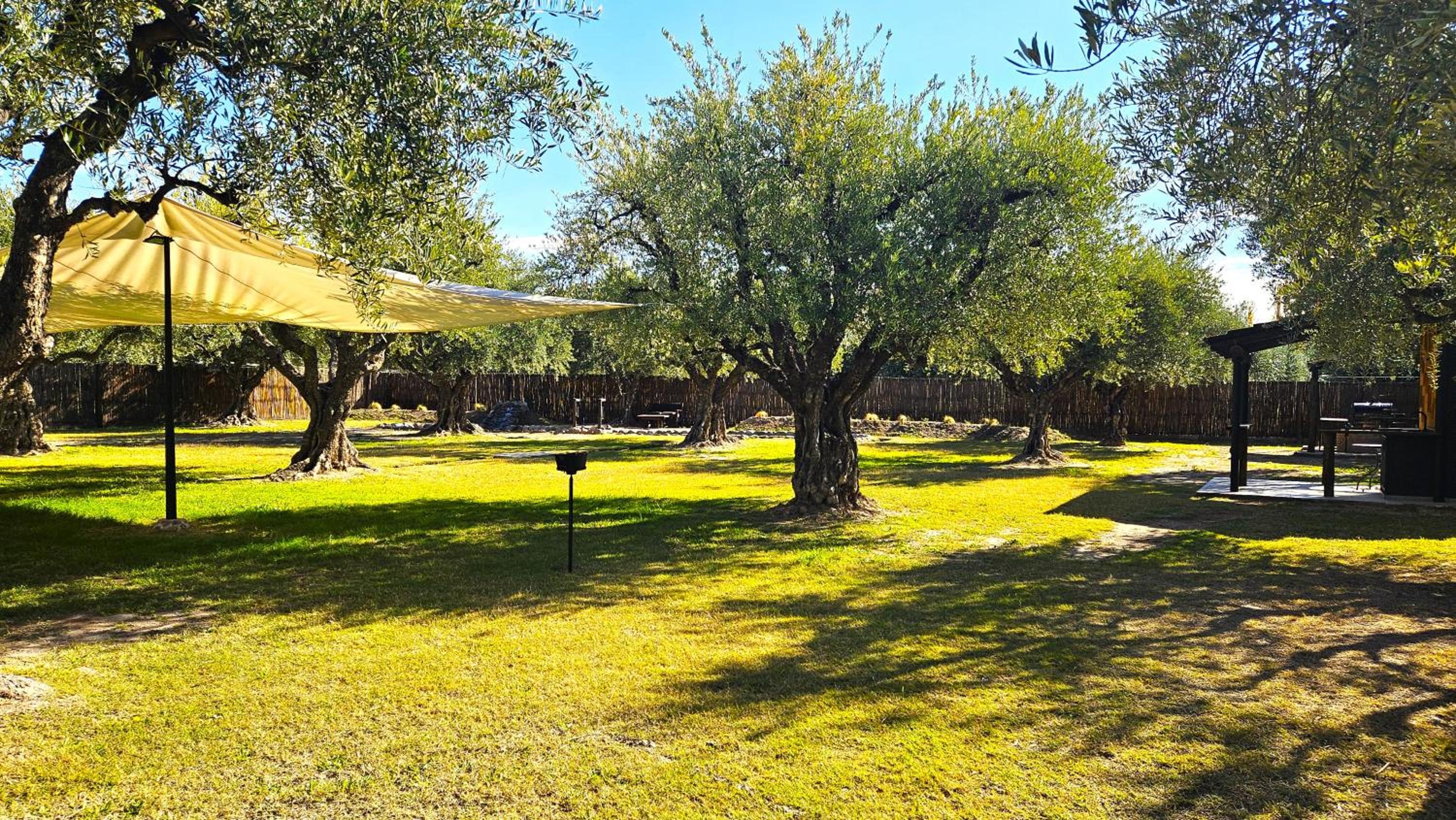 OlivaNegra Resort - Oliva2